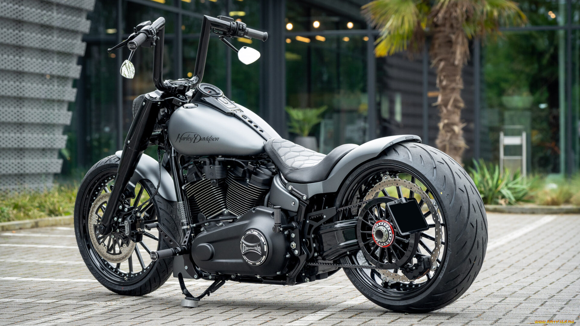 мотоциклы, harley-davidson, softail, fat, boy, silver, blast, customized, custombikes