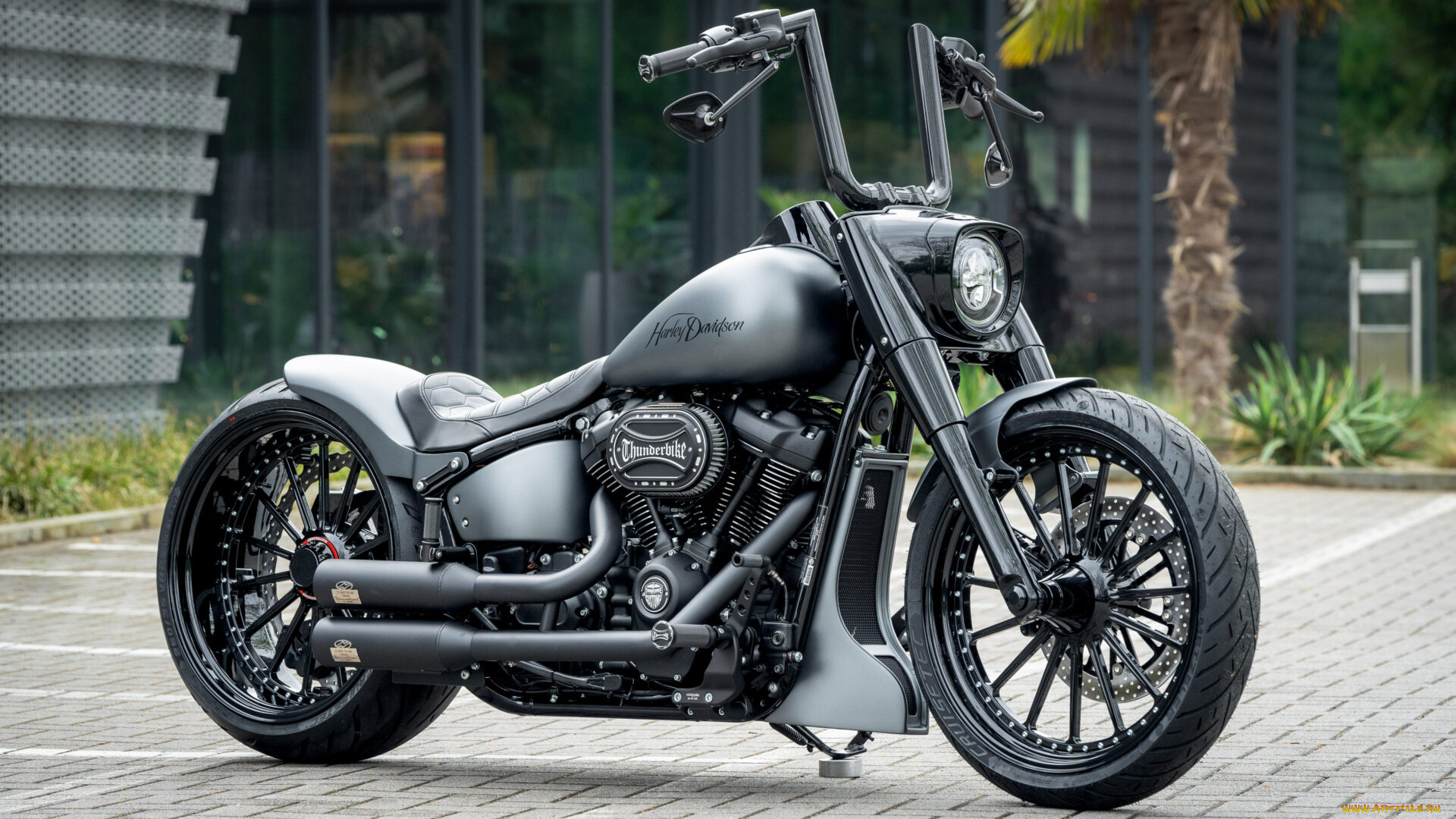 мотоциклы, harley-davidson, softail, fat, boy, silver, blast, customized, custombikes