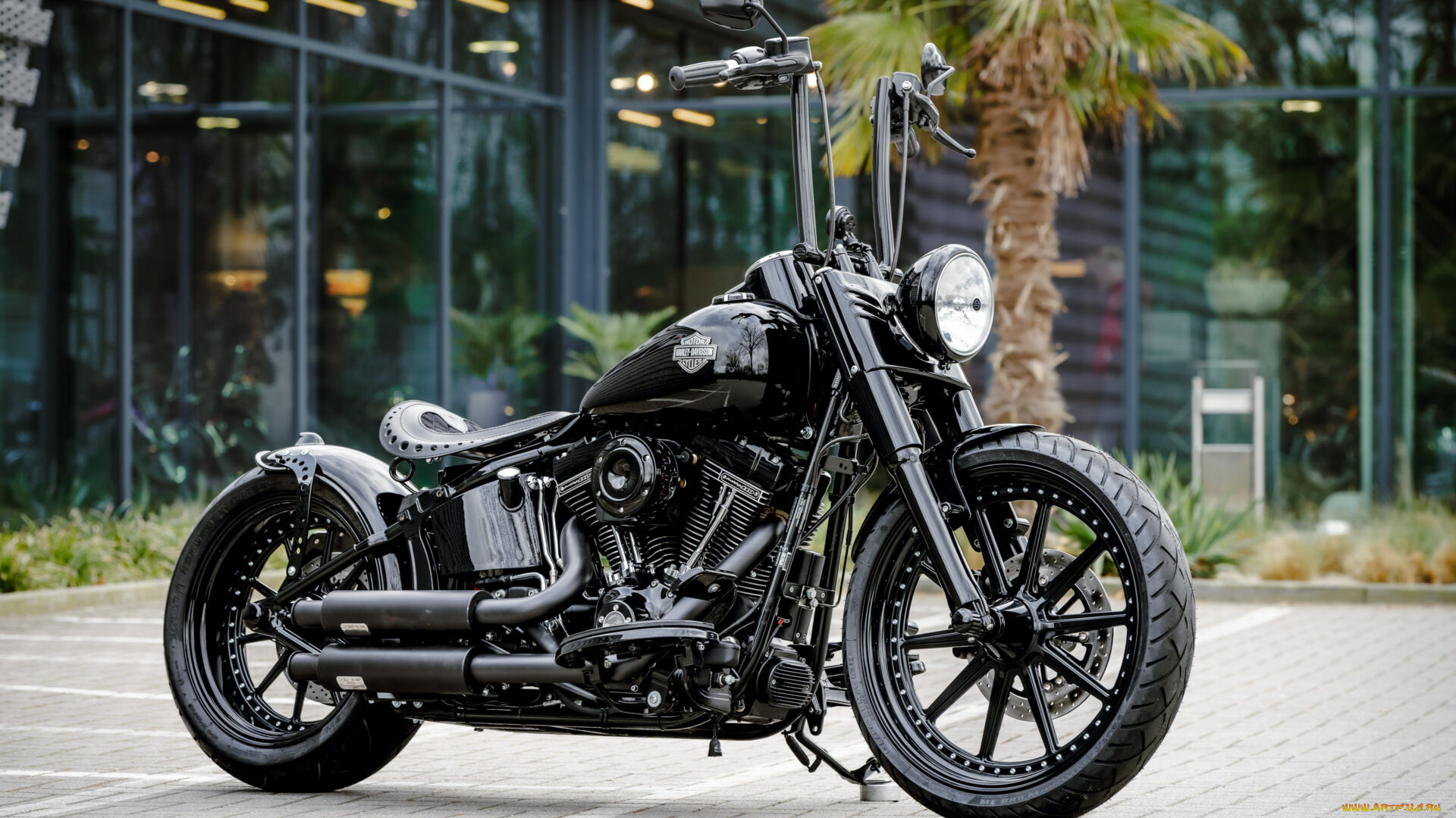 мотоциклы, harley-davidson, softail, slim, s, dark, hopper, customized, custombikes