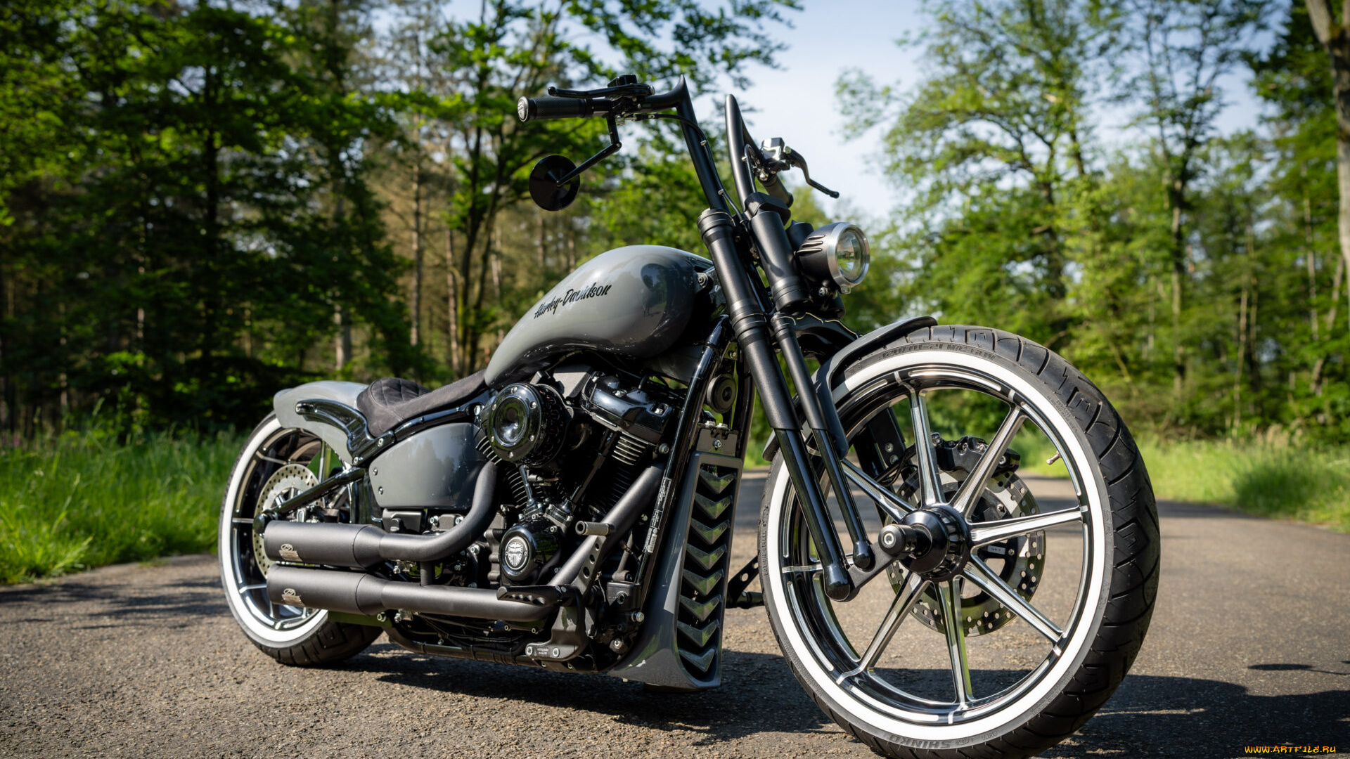 мотоциклы, harley-davidson, softail, street, bob, radical, rider, customized, custombikes