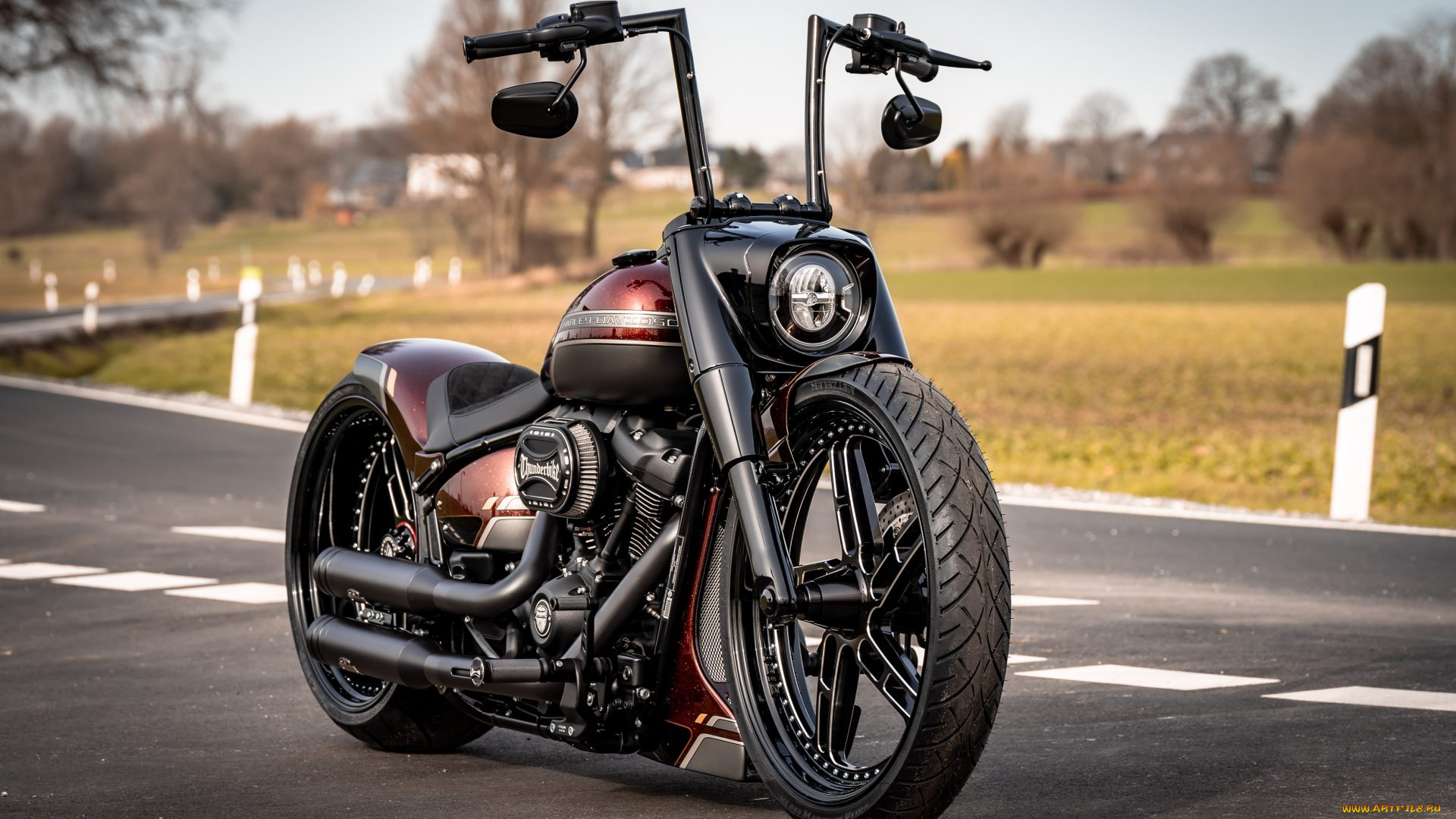 мотоциклы, harley-davidson, softial, red, force, customized, custombikes