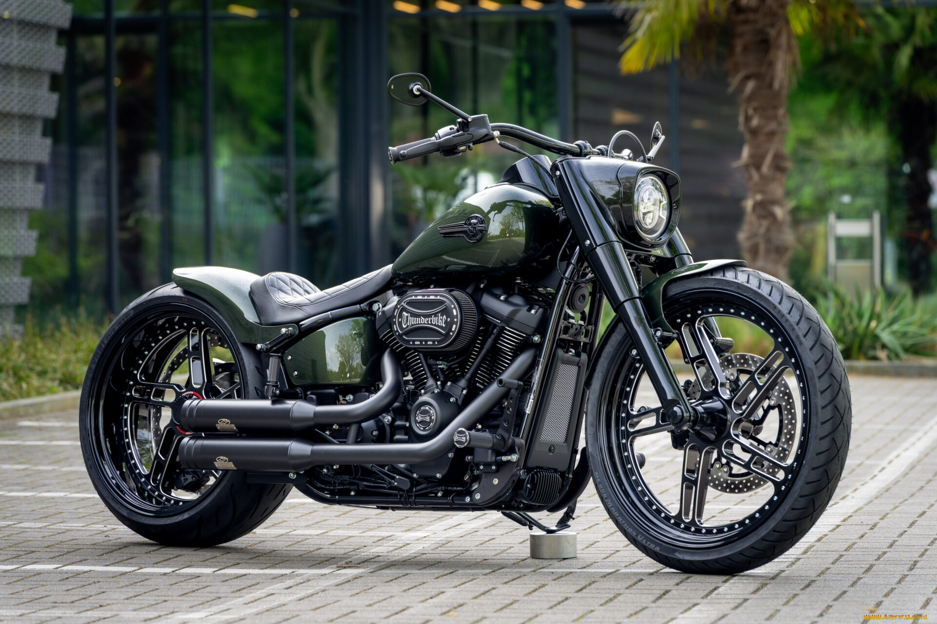 мотоциклы, harley-davidson, softail, fat, boy, 114, raptor, force, customized, custombikes