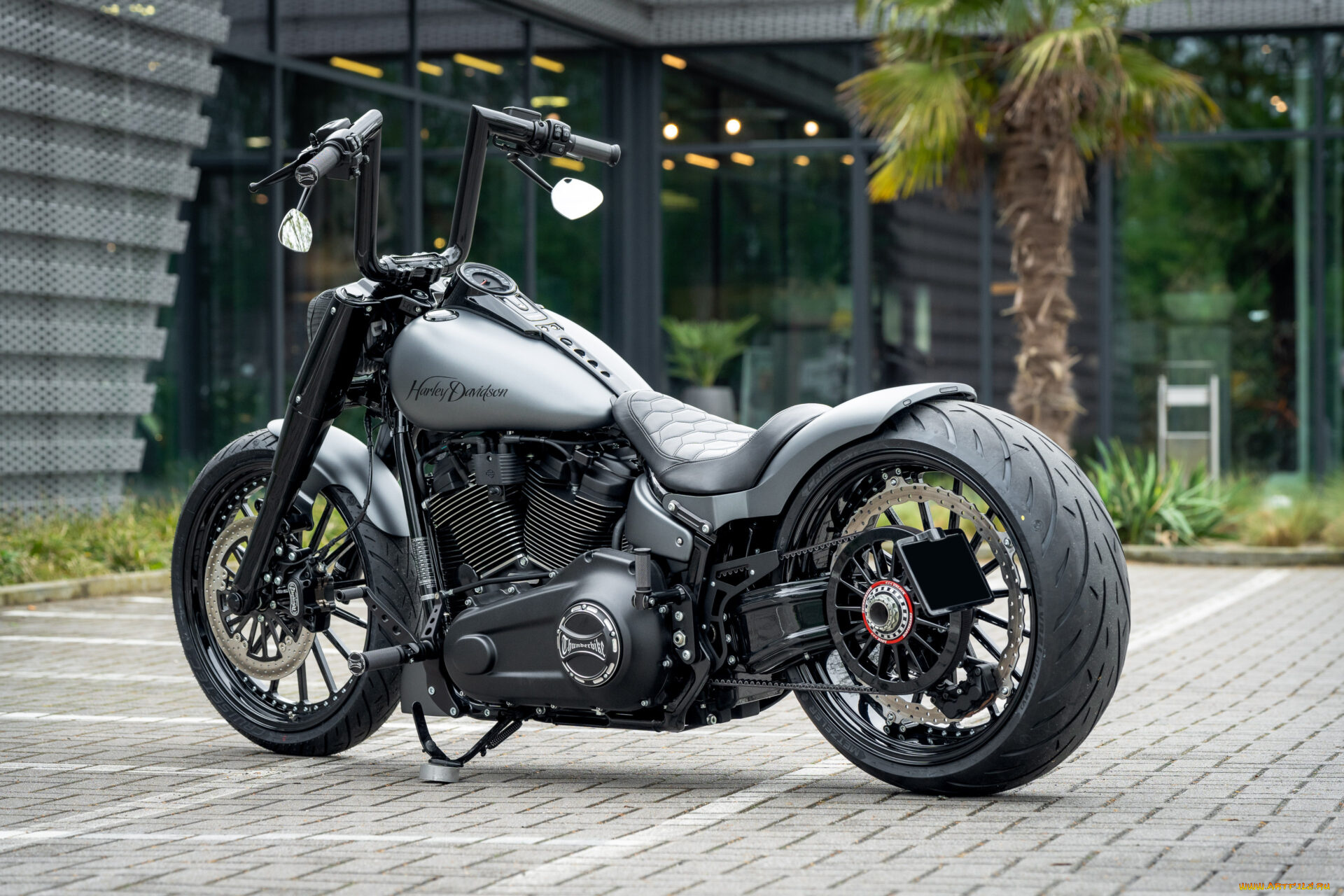 мотоциклы, harley-davidson, softail, fat, boy, silver, blast, customized, custombikes