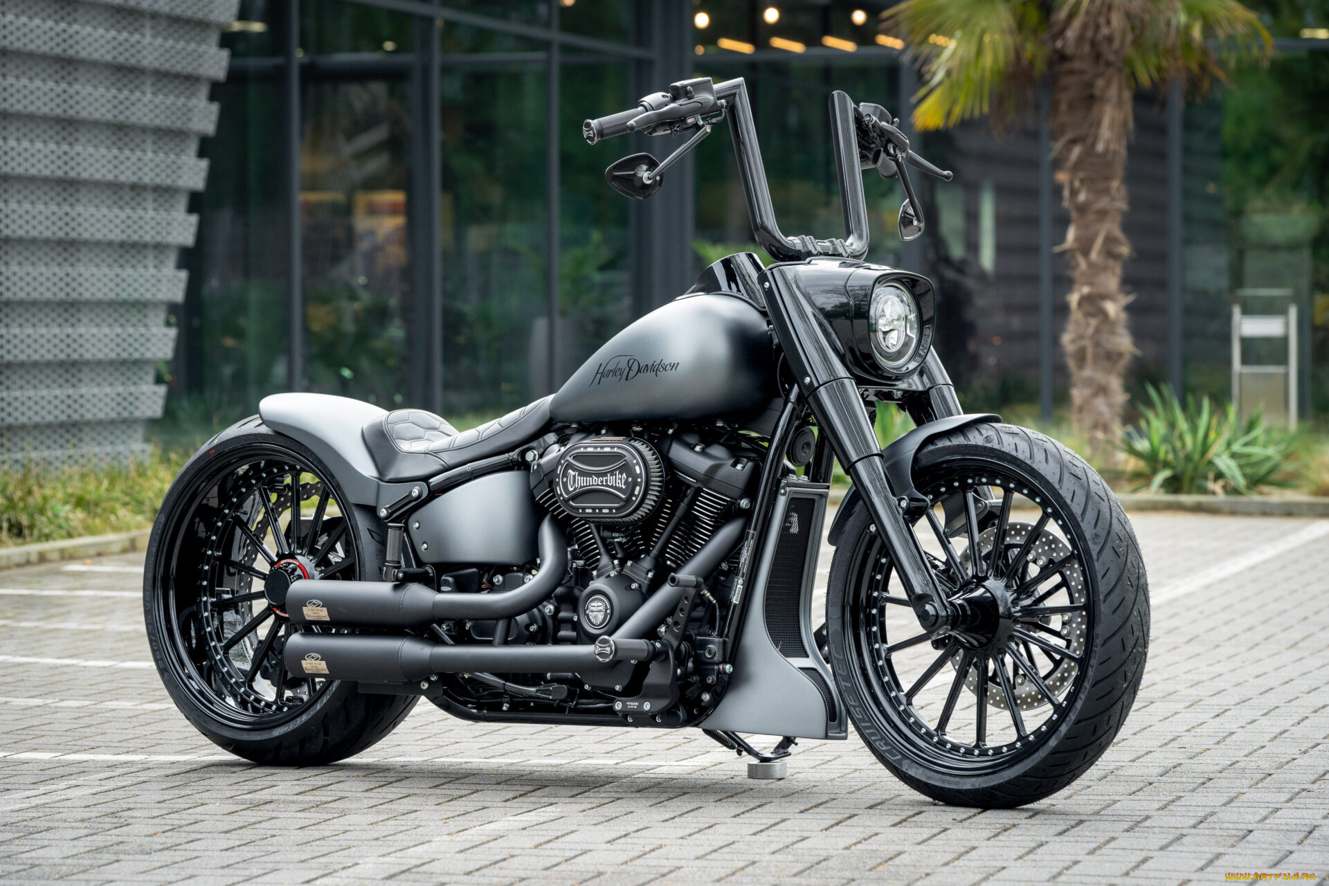 мотоциклы, harley-davidson, softail, fat, boy, silver, blast, customized, custombikes