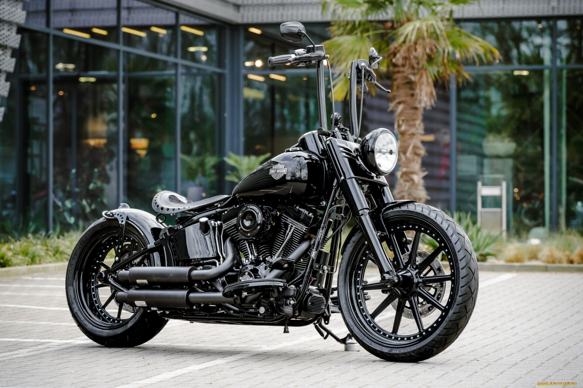 мотоциклы, harley-davidson, softail, slim, s, dark, hopper, customized, custombikes