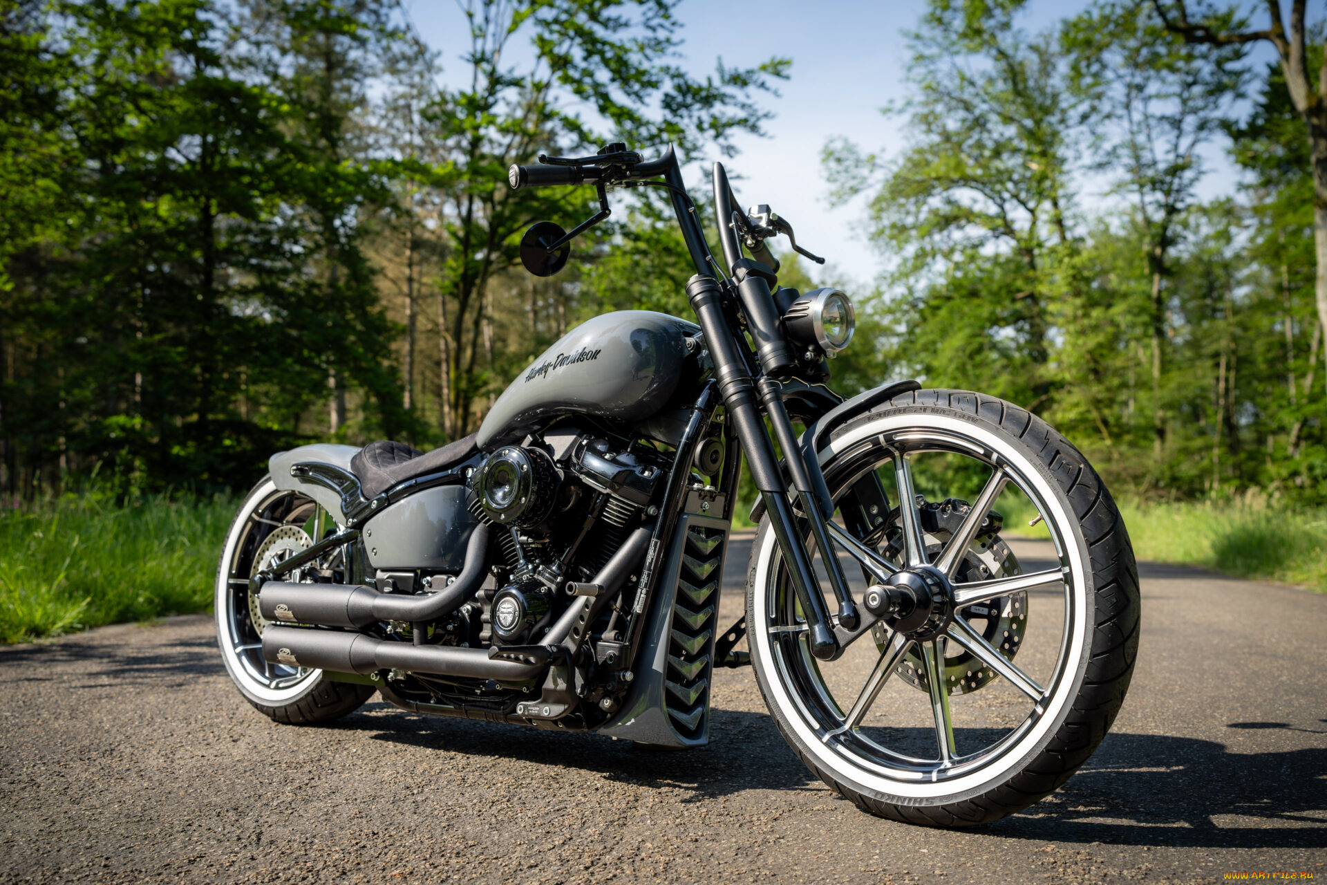 мотоциклы, harley-davidson, softail, street, bob, radical, rider, customized, custombikes