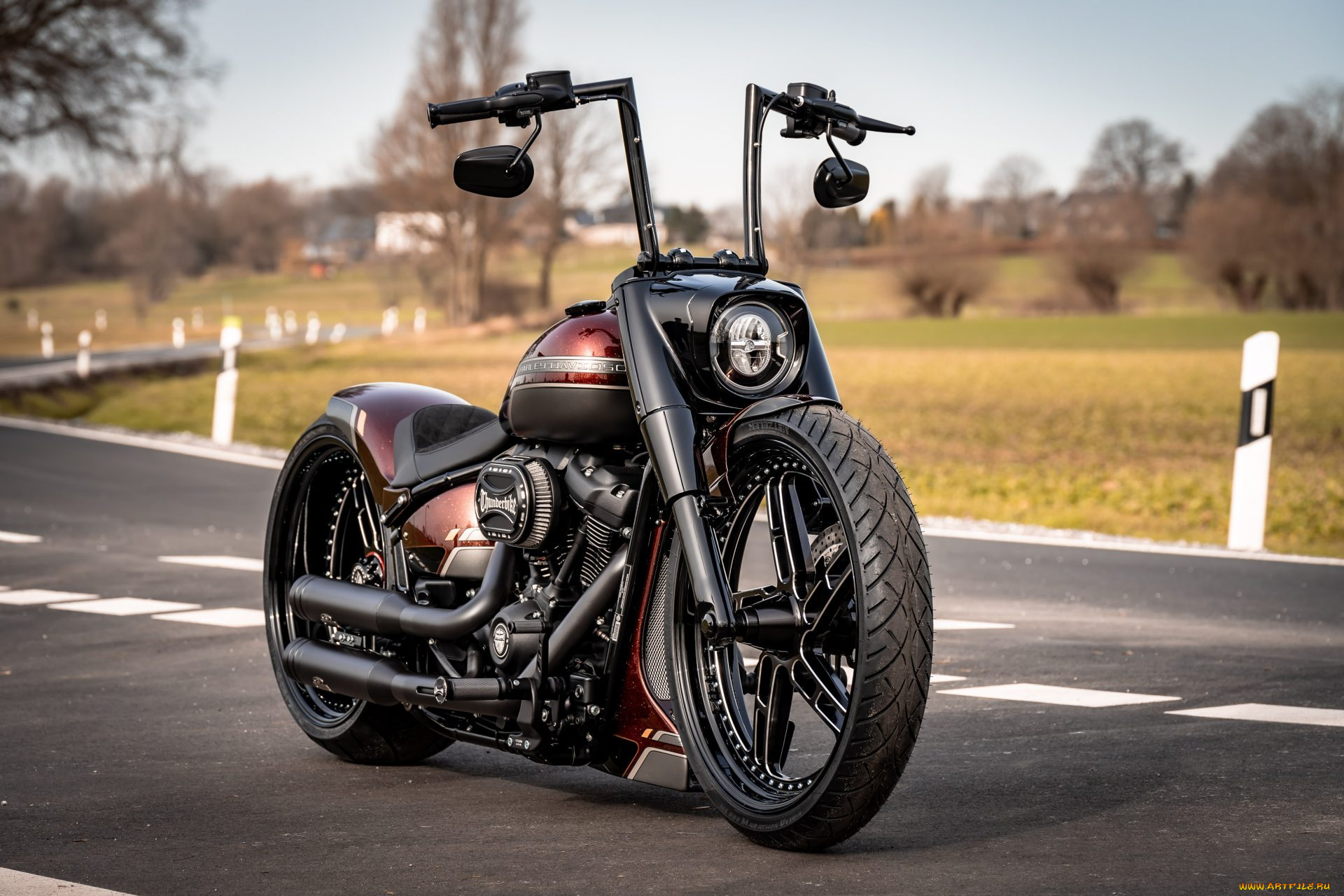 мотоциклы, harley-davidson, softial, red, force, customized, custombikes