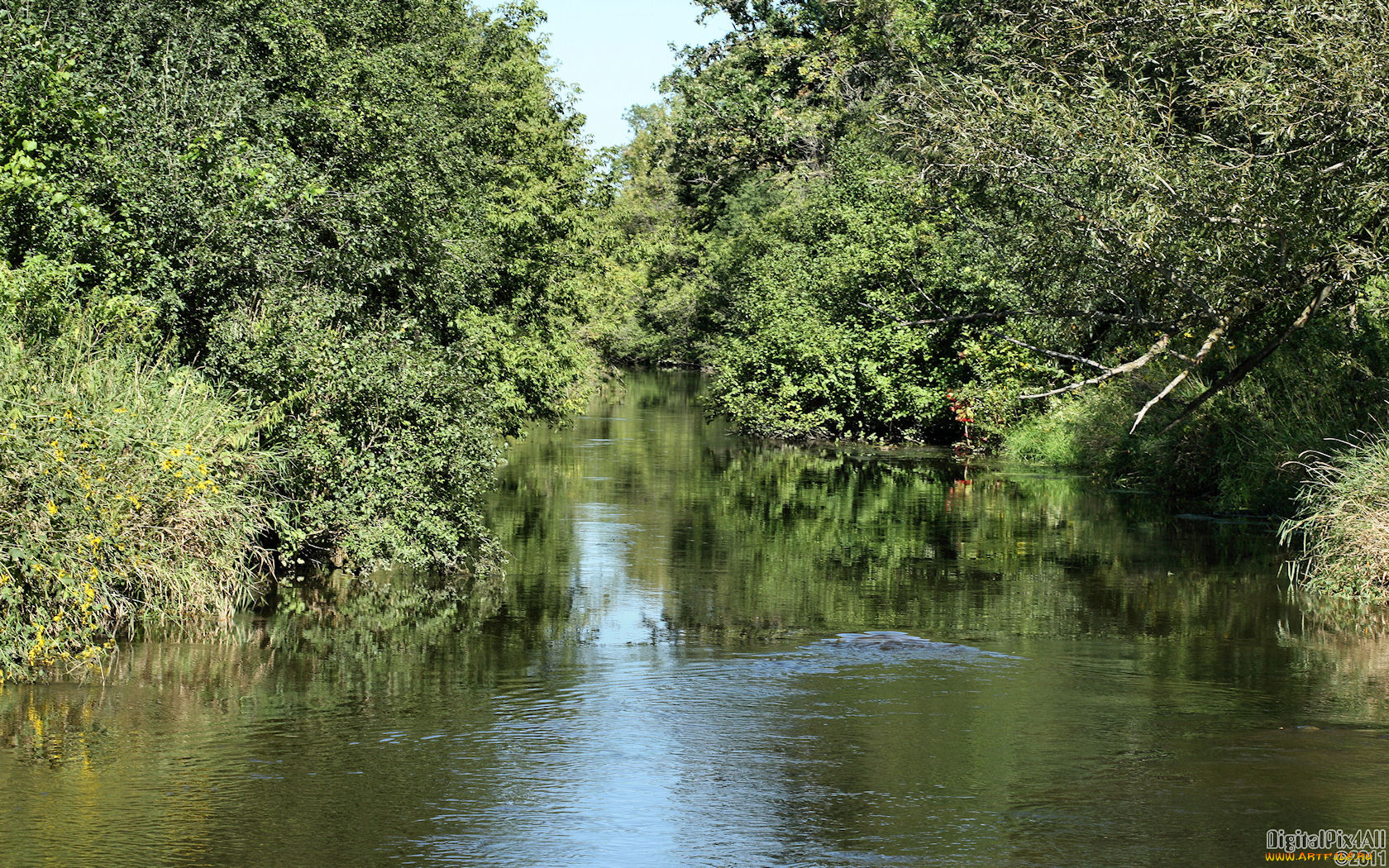 природа, реки, озера, деревья, река