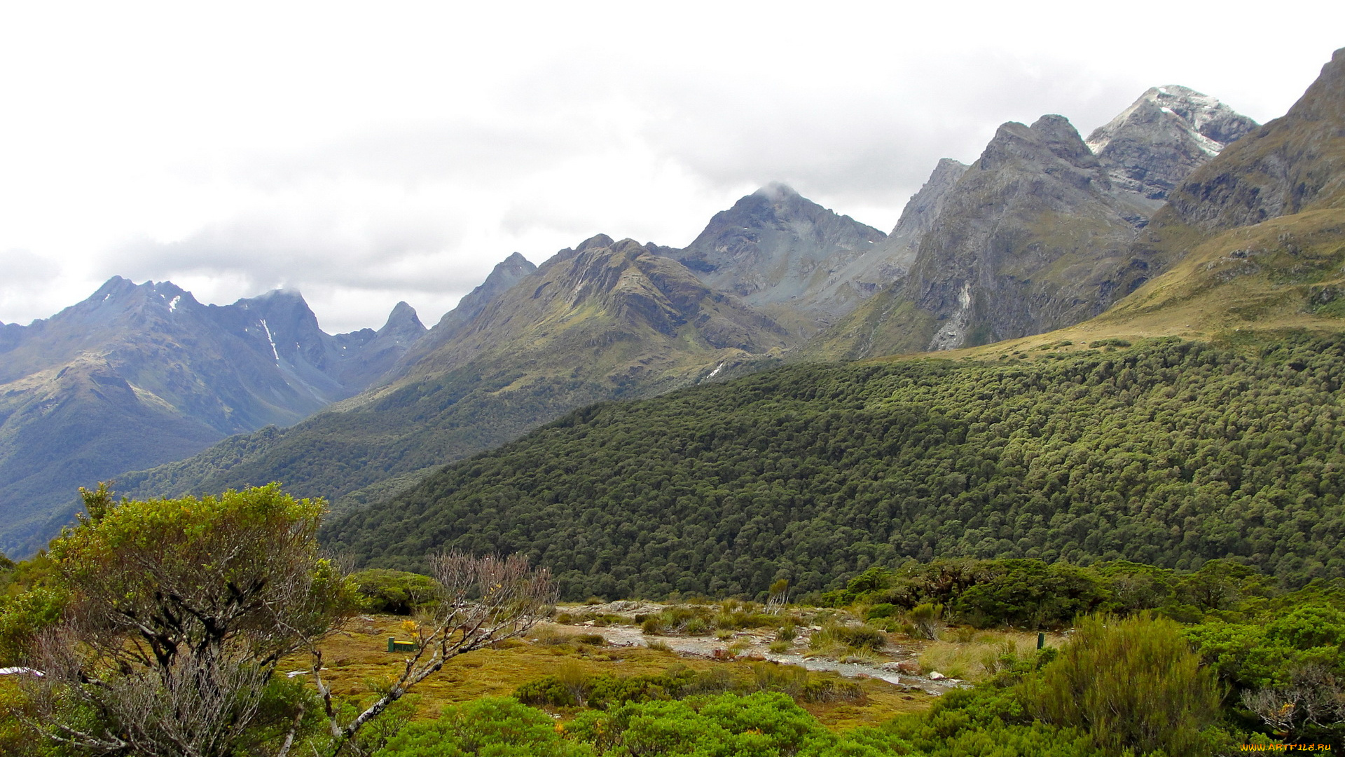 fiordland, national, park, новая, зеландия, природа, горы