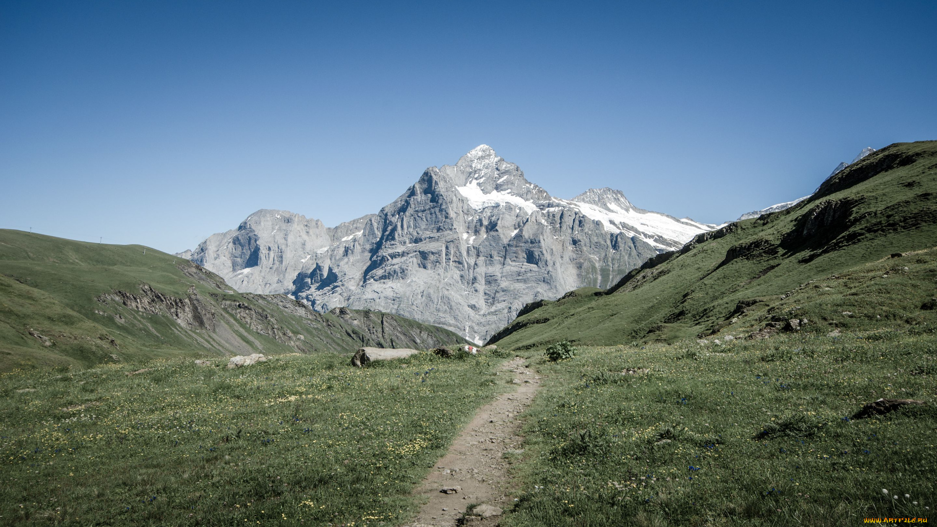 grindelwald, switzerland, природа, горы, тропинка, швейцария, альпы, гриндельвальд, alps