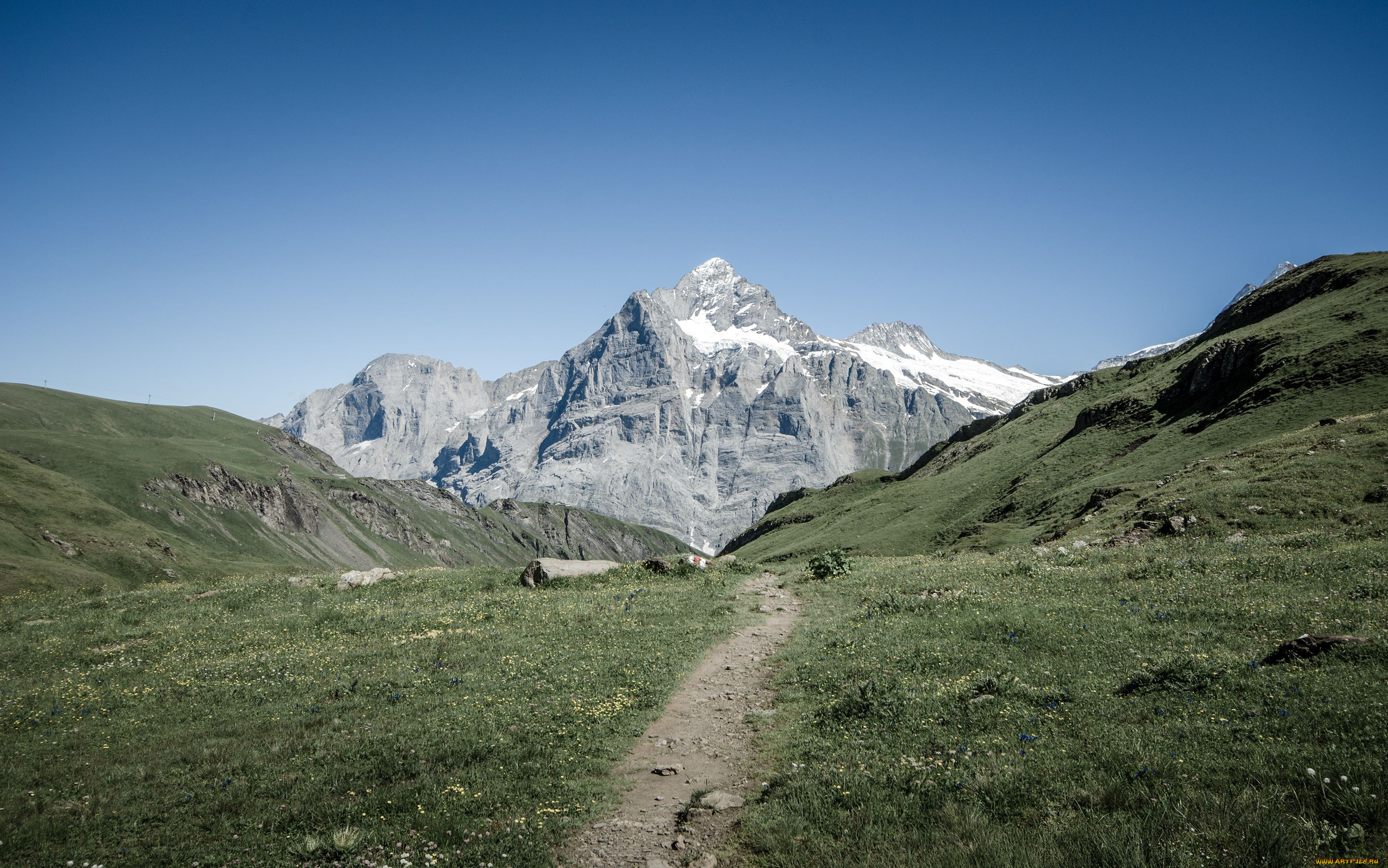 grindelwald, switzerland, природа, горы, тропинка, швейцария, альпы, гриндельвальд, alps