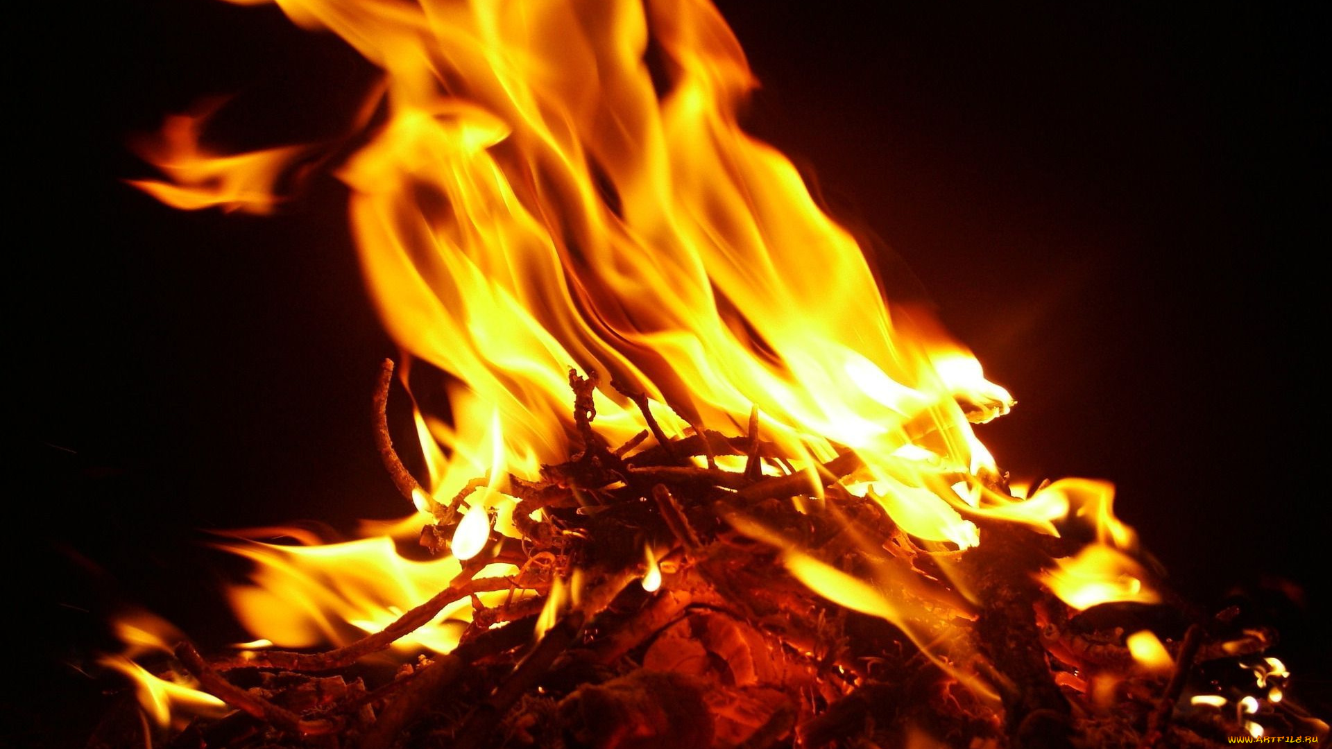 природа, огонь, пламя
