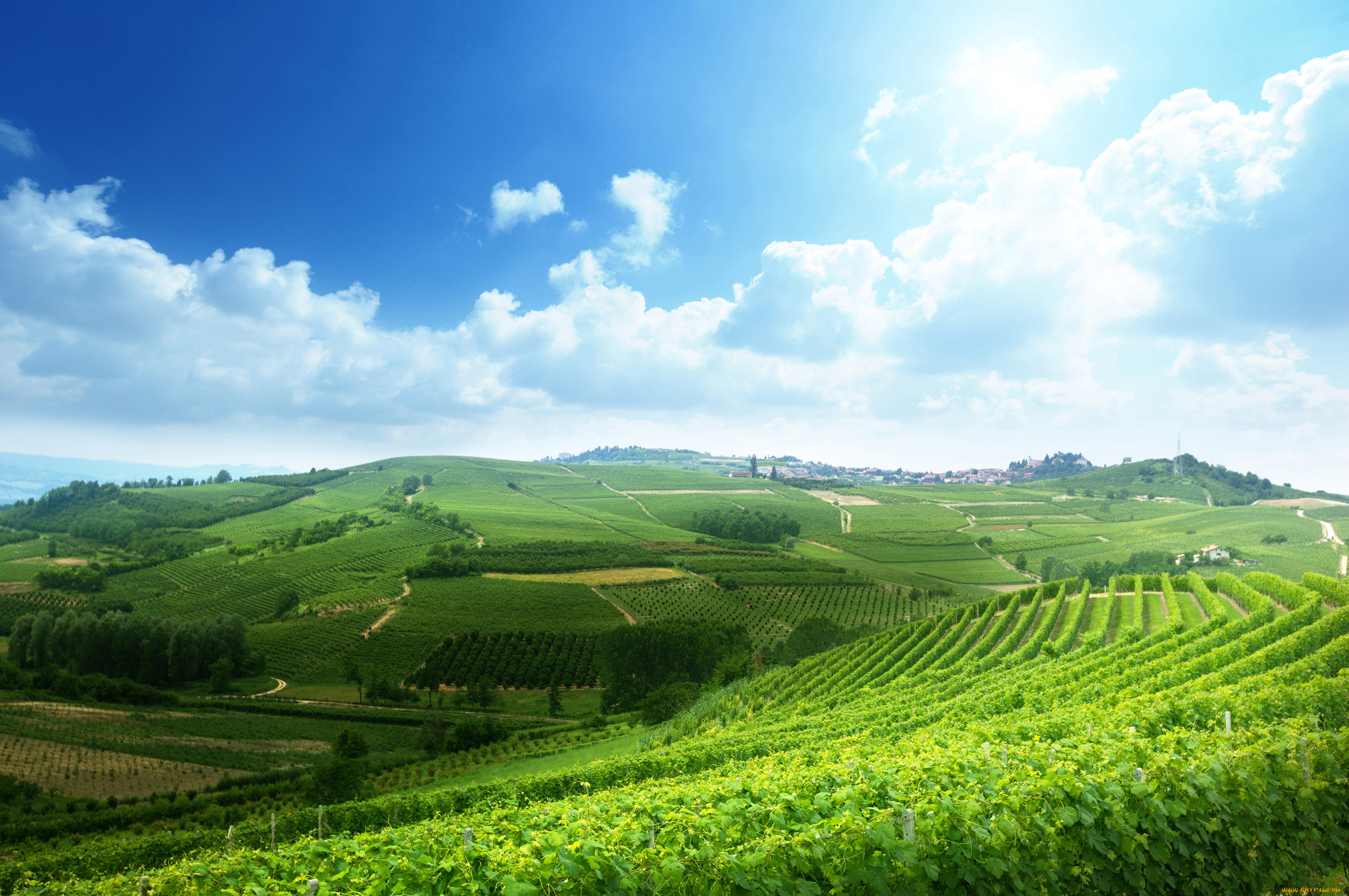 природа, поля, виноградники, небо, италия