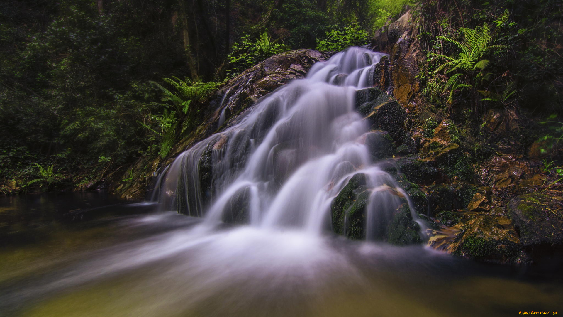 природа, водопады, лес, водопад, растения