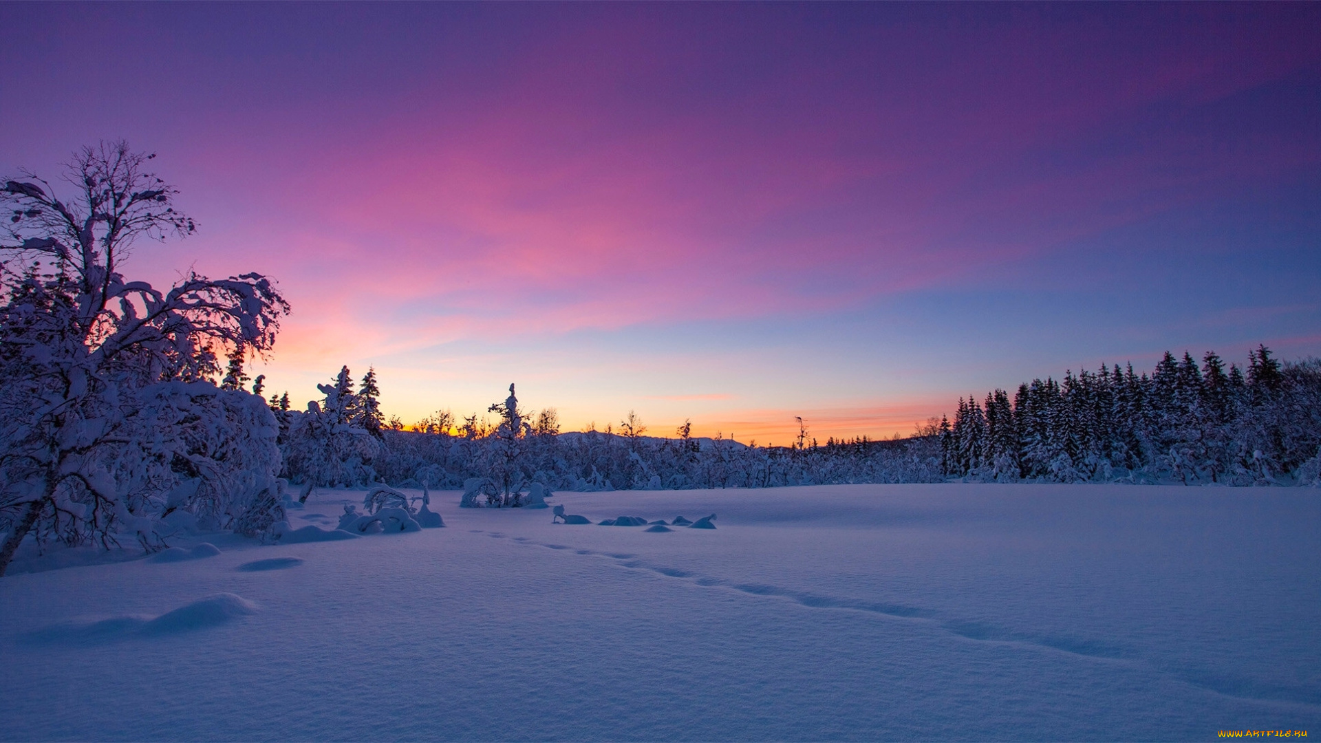 природа, зима, снег, норвегия, деревья, закат