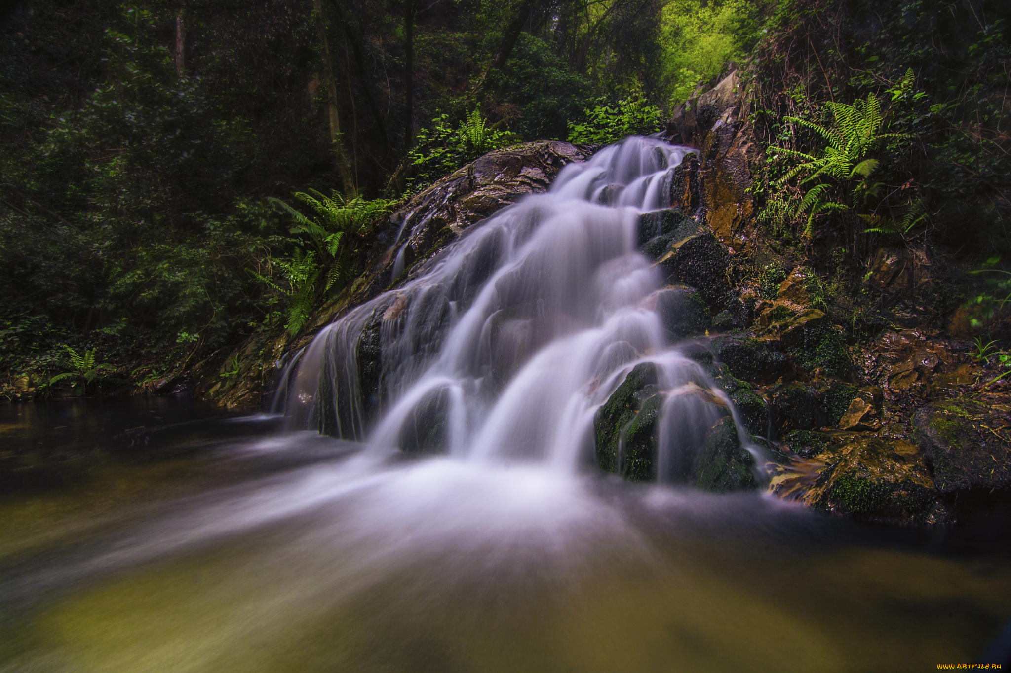 природа, водопады, лес, водопад, растения