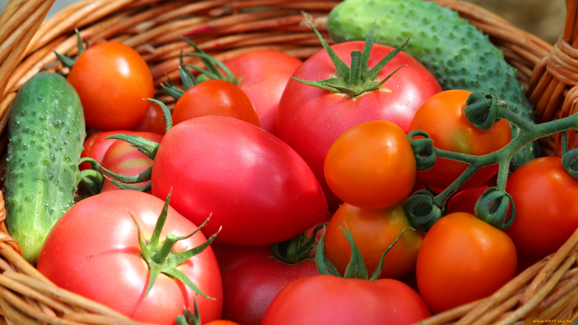 еда, овощи, урожай, огурцы, томаты, дача, теплица, лето, природа, вкусно, витамины, помидоры