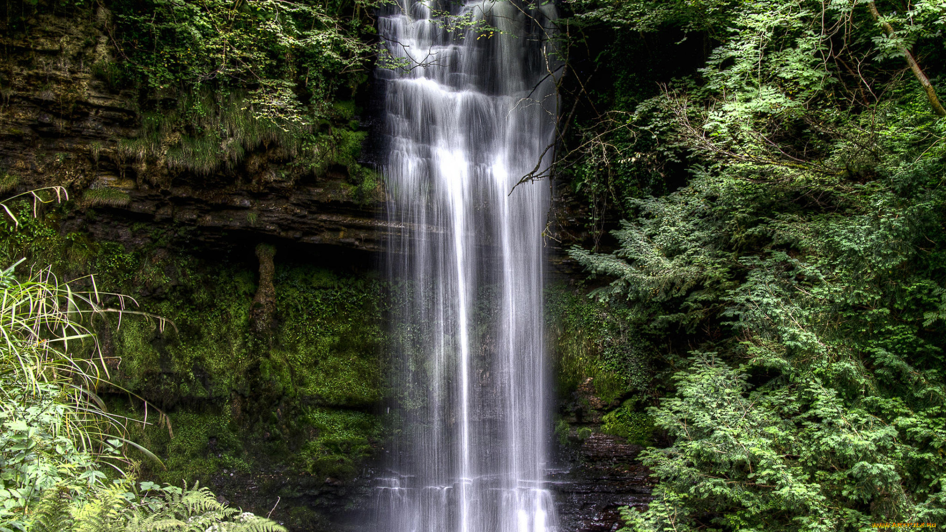 природа, водопады, glencar, waterfall, скалы, деревья, водопад, ирландия