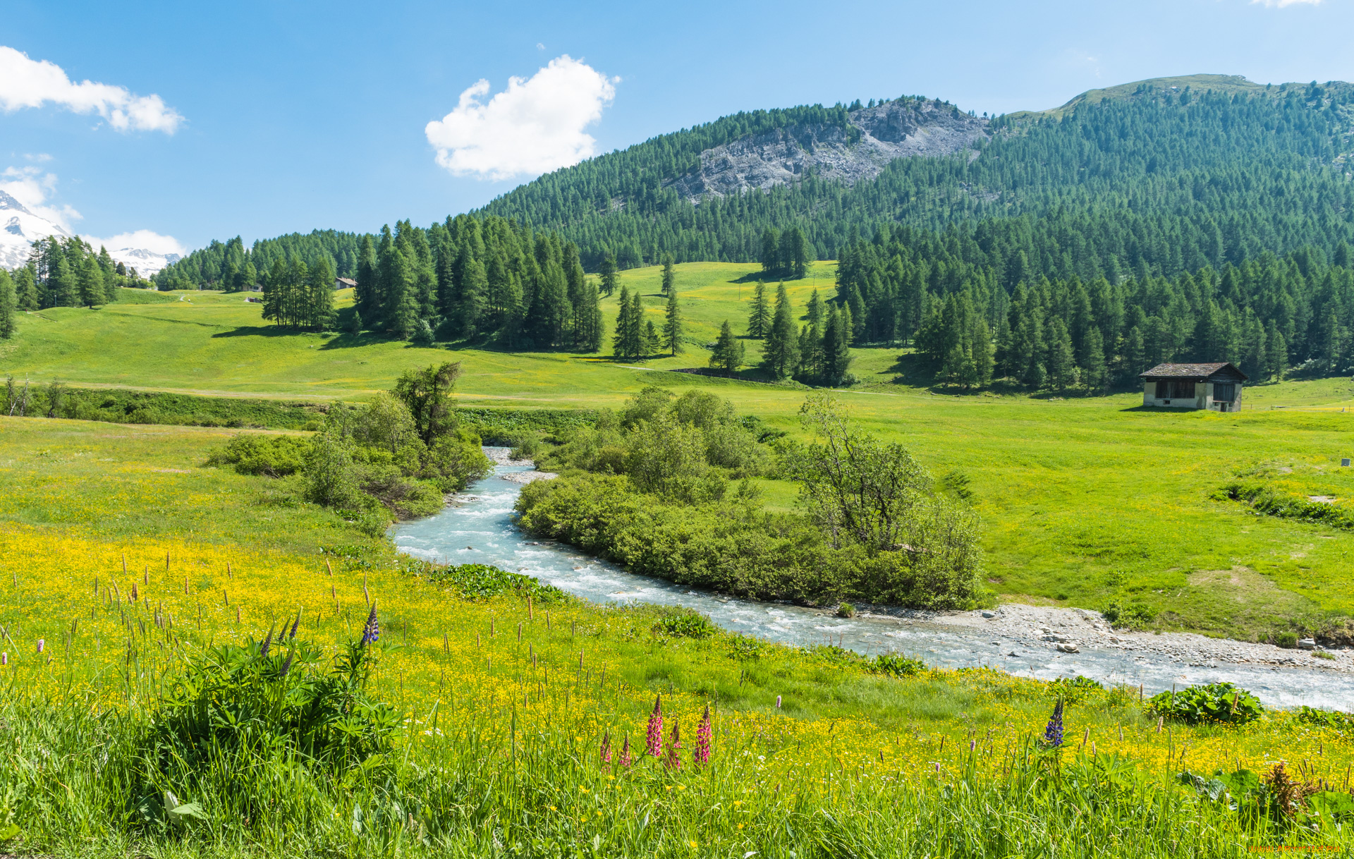 природа, пейзажи, простор