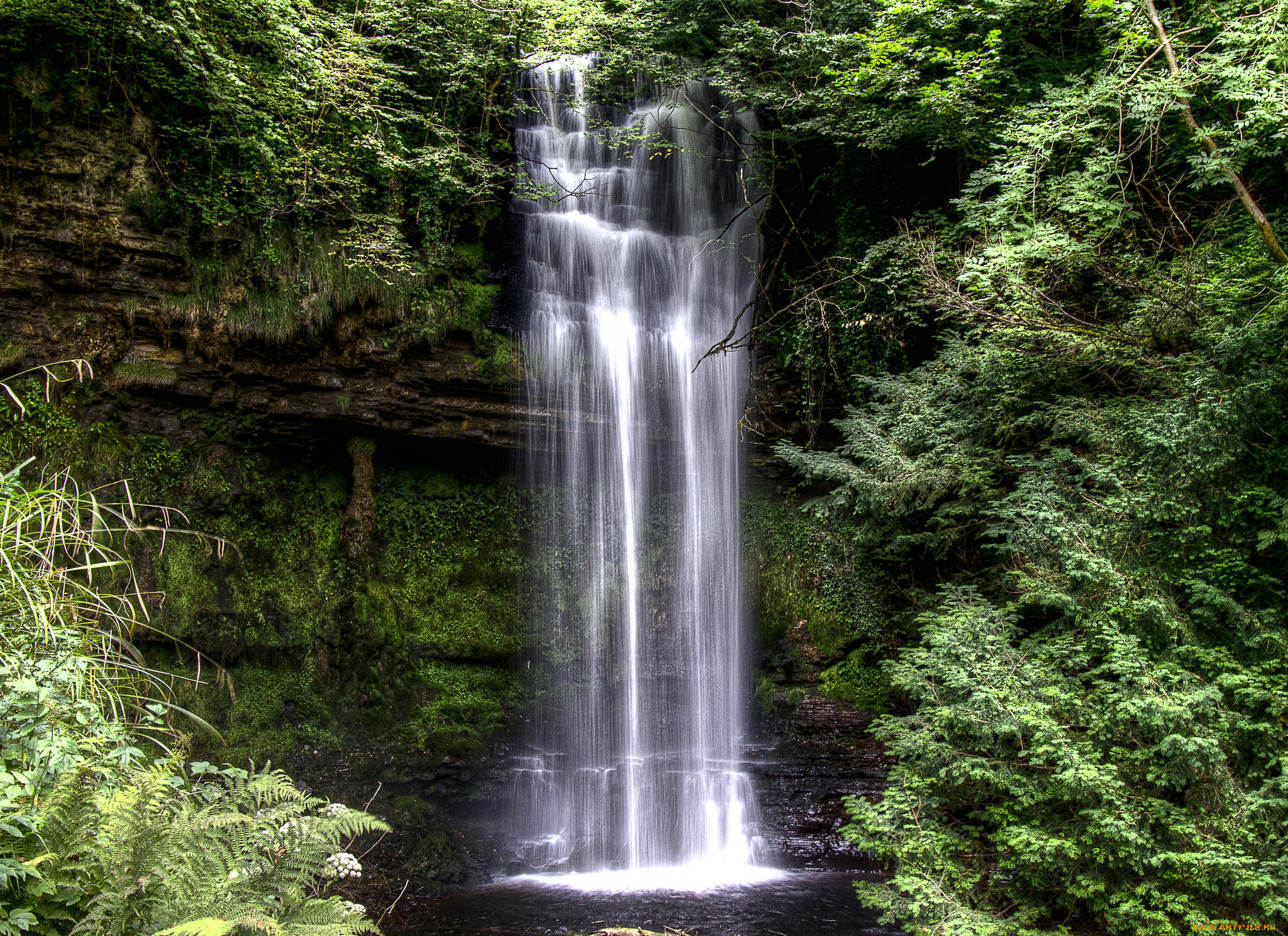 природа, водопады, glencar, waterfall, скалы, деревья, водопад, ирландия