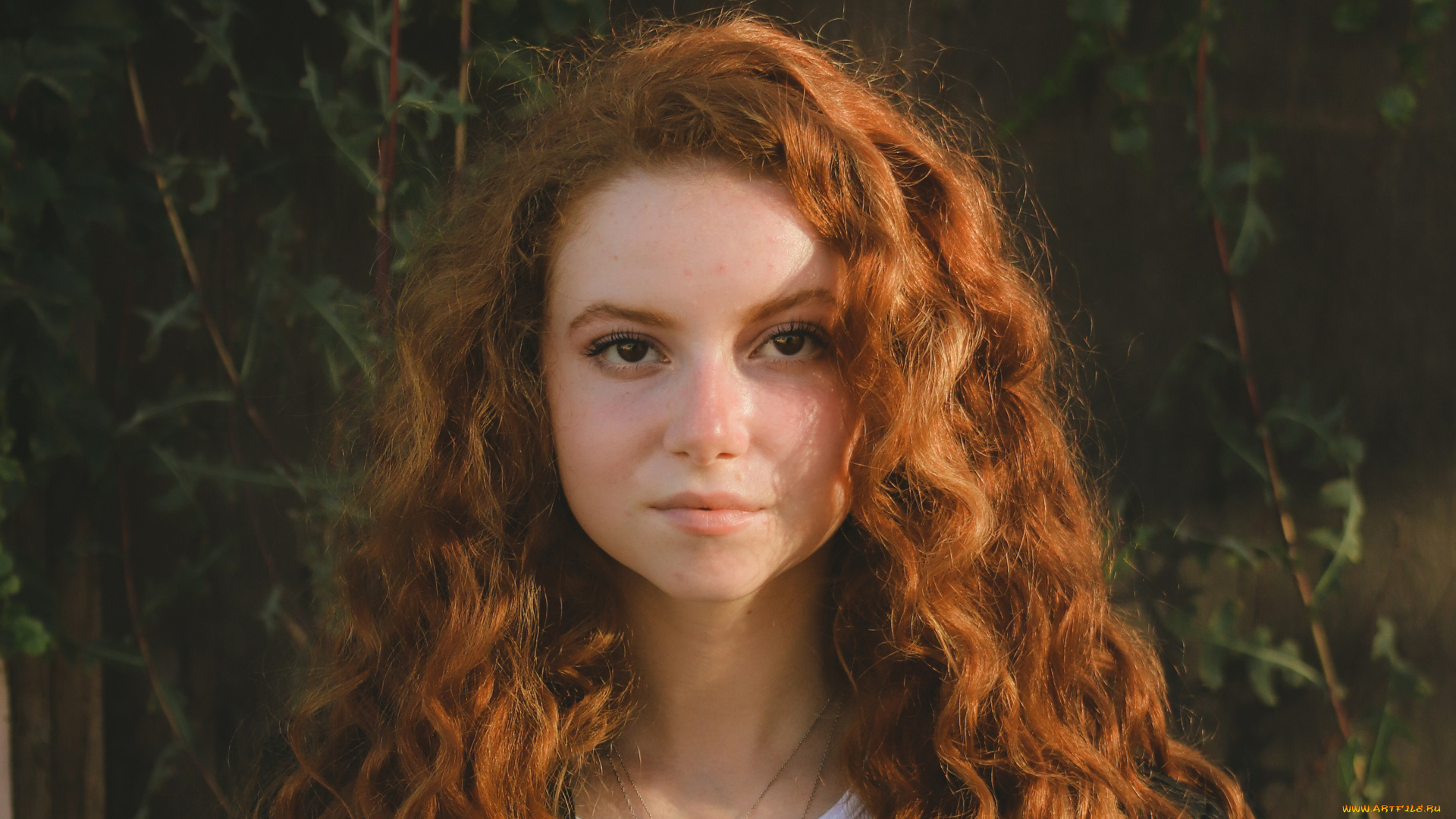 девушки, -, лица, , портреты, рыжая, лицо, francesca, capaldi