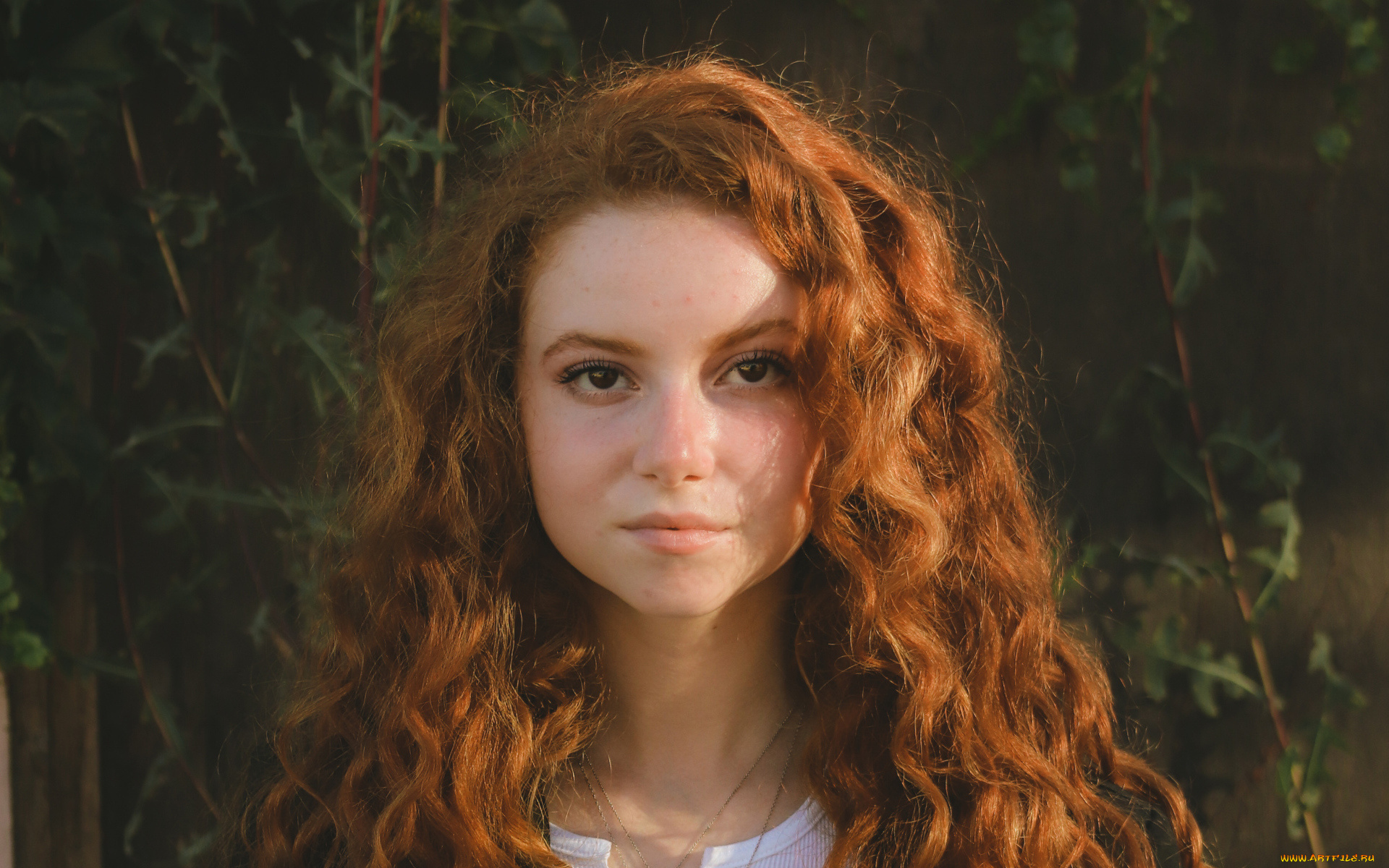 девушки, -, лица, , портреты, рыжая, лицо, francesca, capaldi