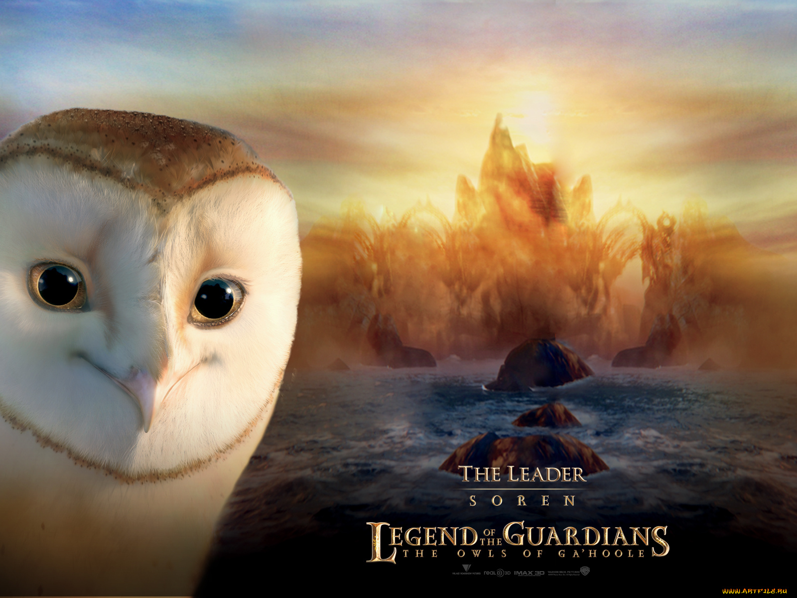 legend, of, the, guardians, owls, ga’hoole, мультфильмы