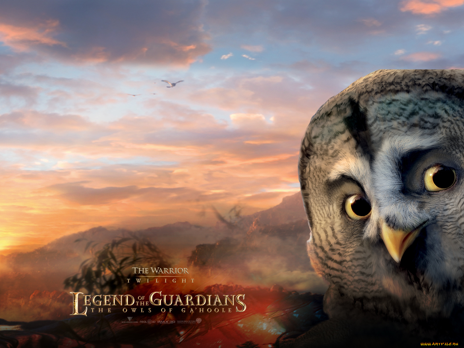 legend, of, the, guardians, owls, ga’hoole, мультфильмы