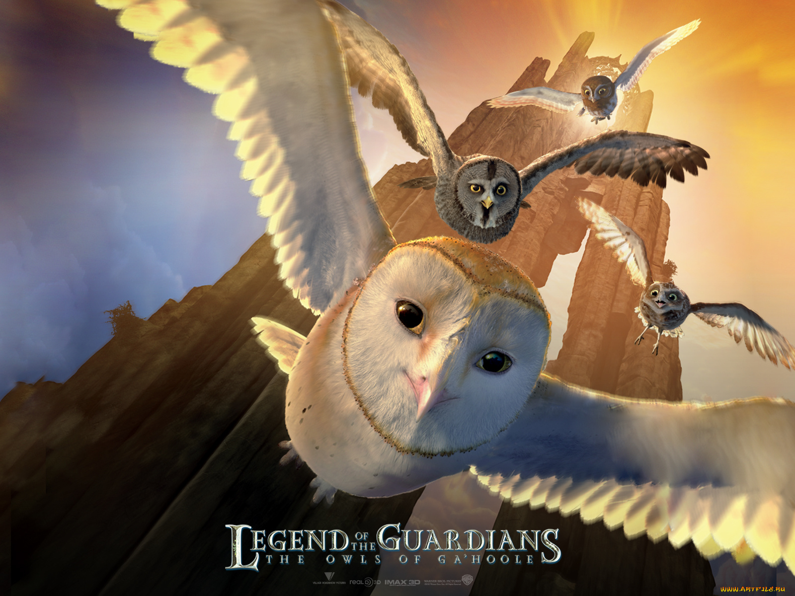 legend, of, the, guardians, owls, ga’hoole, мультфильмы