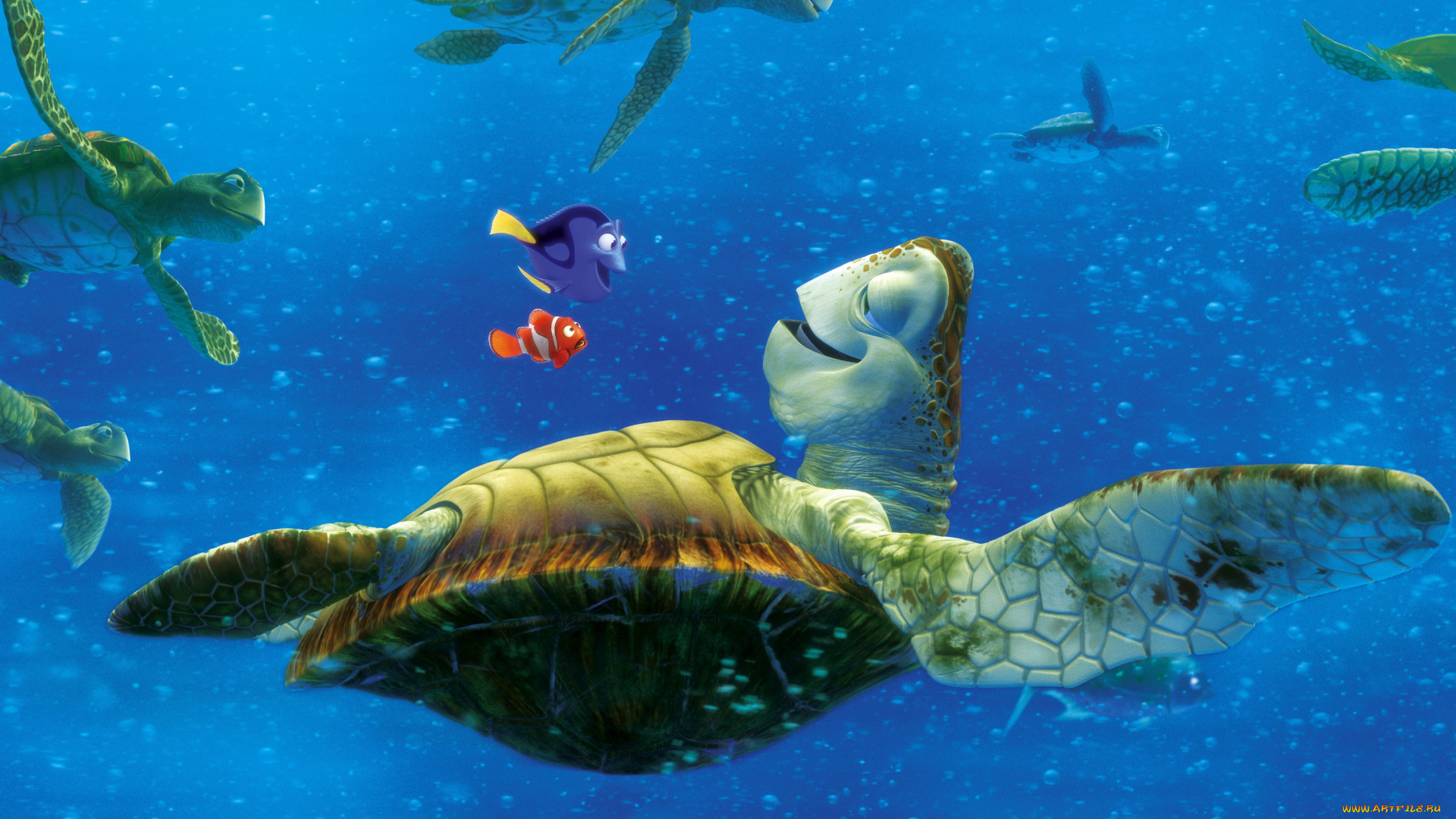 finding, nemo, мультфильмы, в, поисках, немо