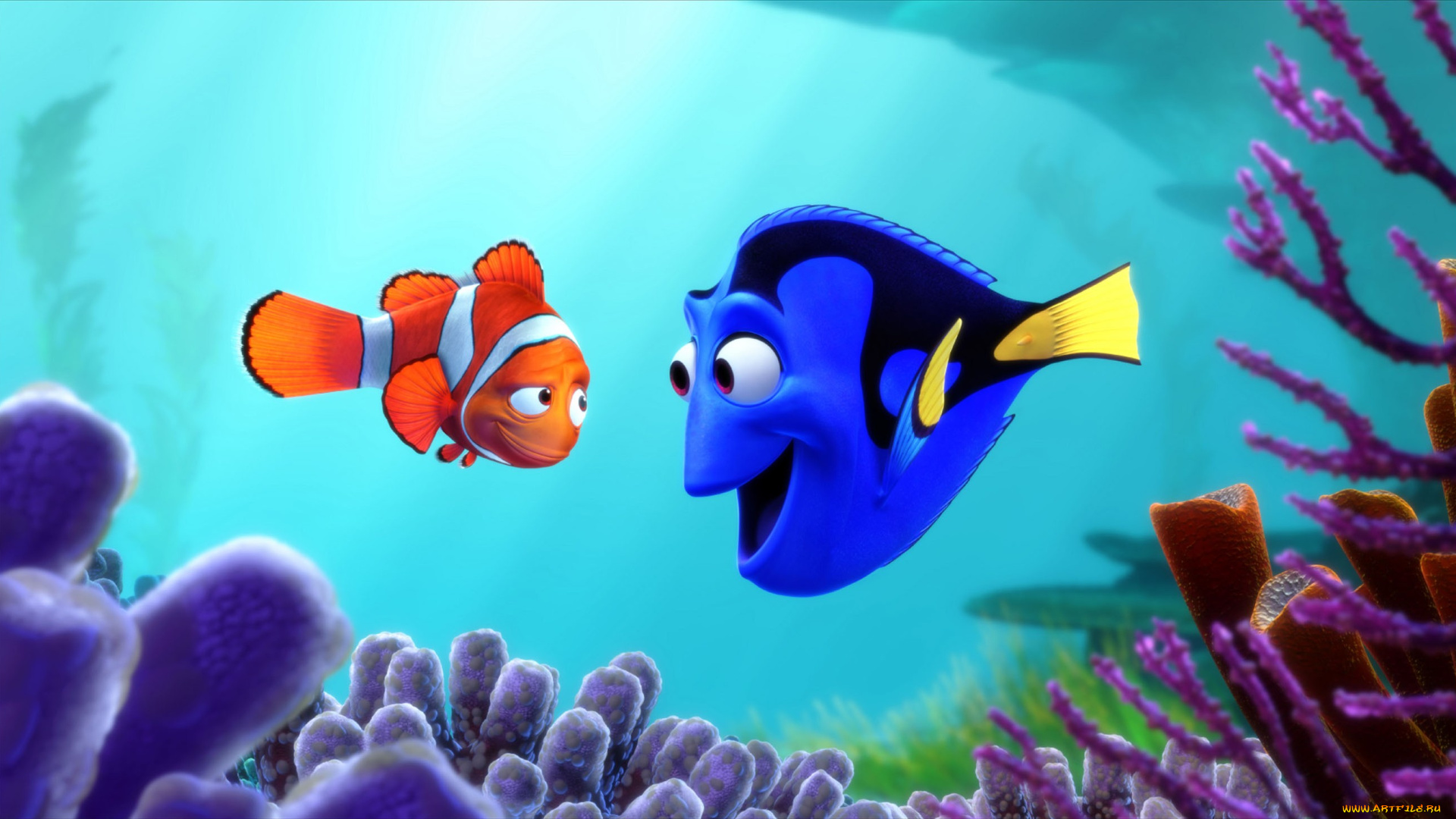 finding, nemo, мультфильмы, в, поисках, немо