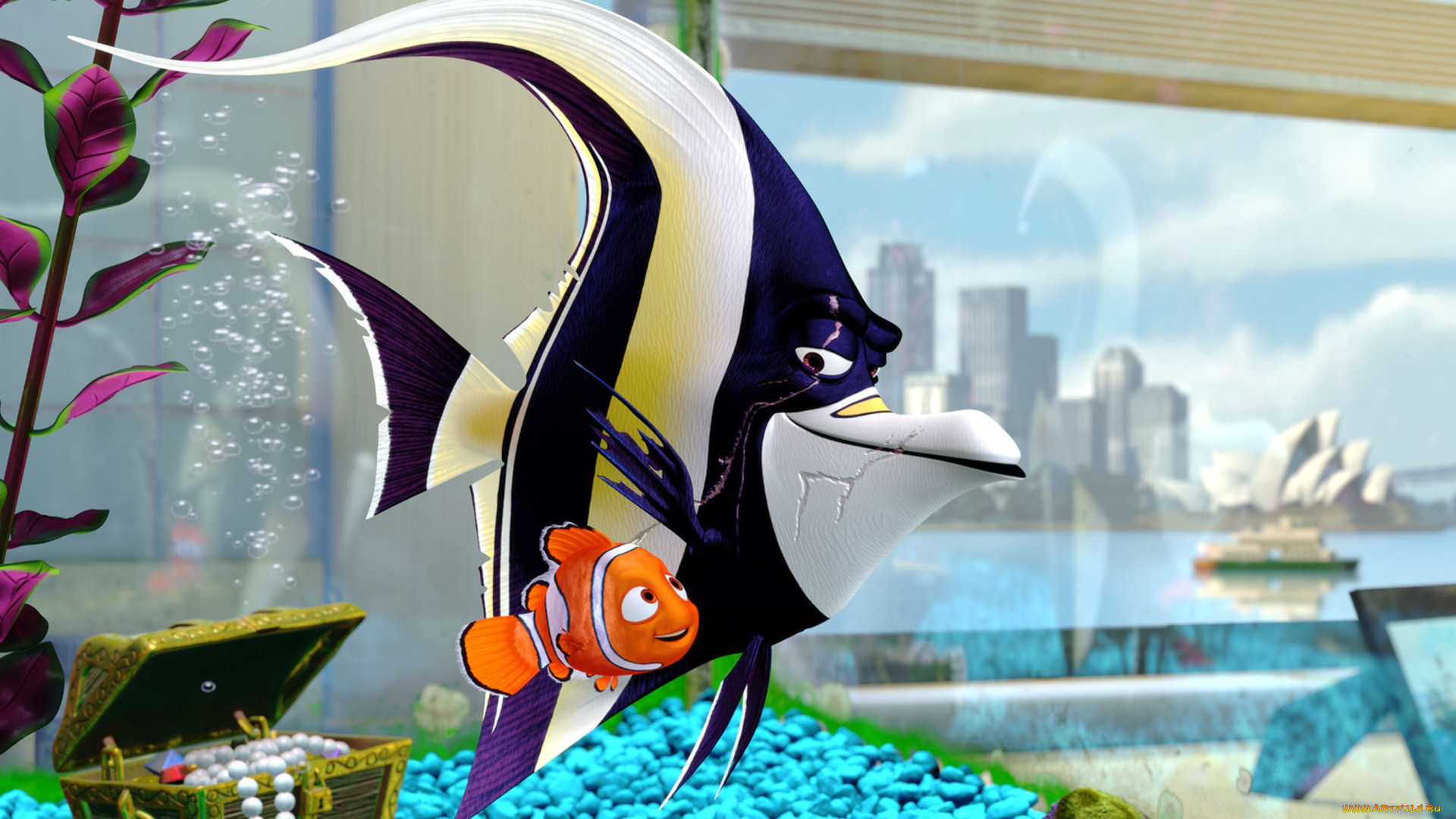 finding, nemo, мультфильмы, в, поисках, немо