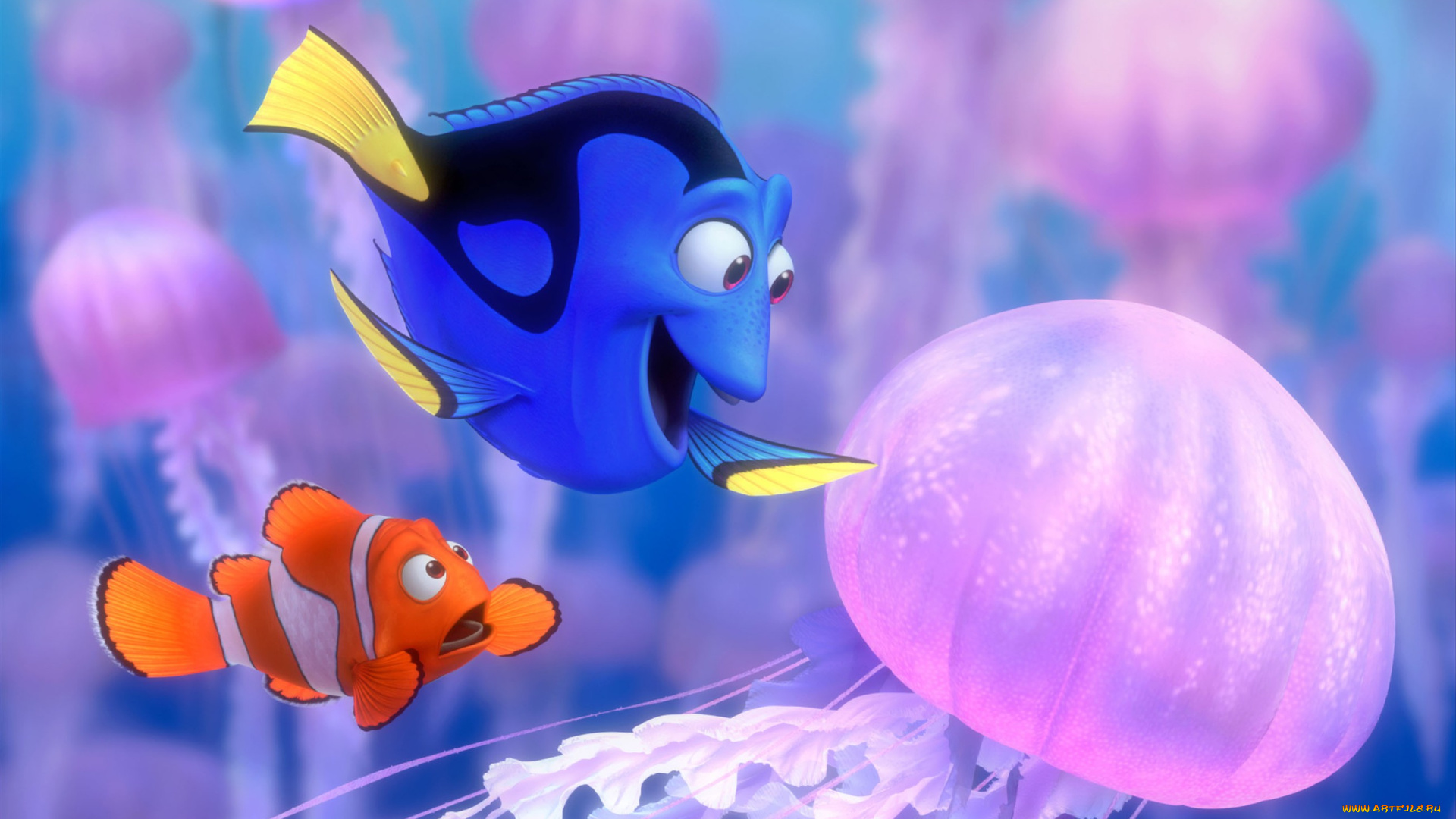 finding, nemo, мультфильмы, в, поисках, немо