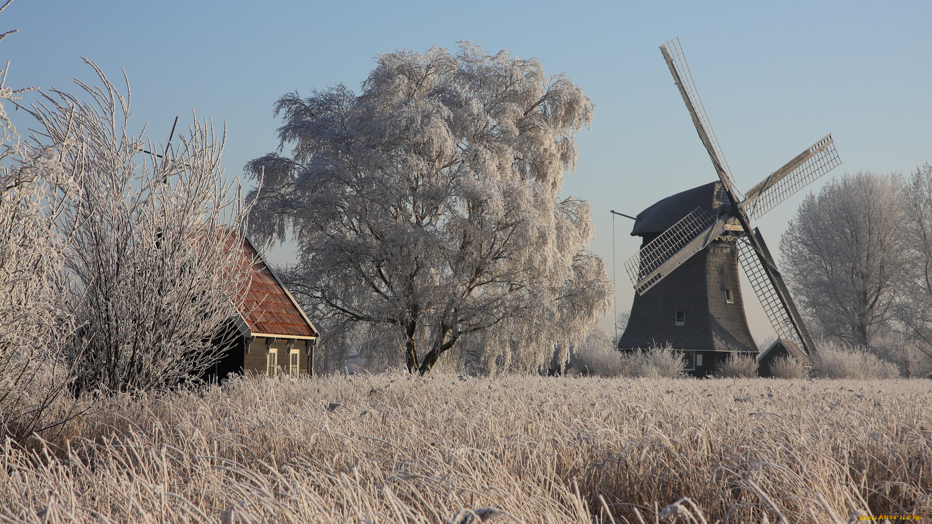 разное, мельницы, grass, windmill, house, ice, trees, winter