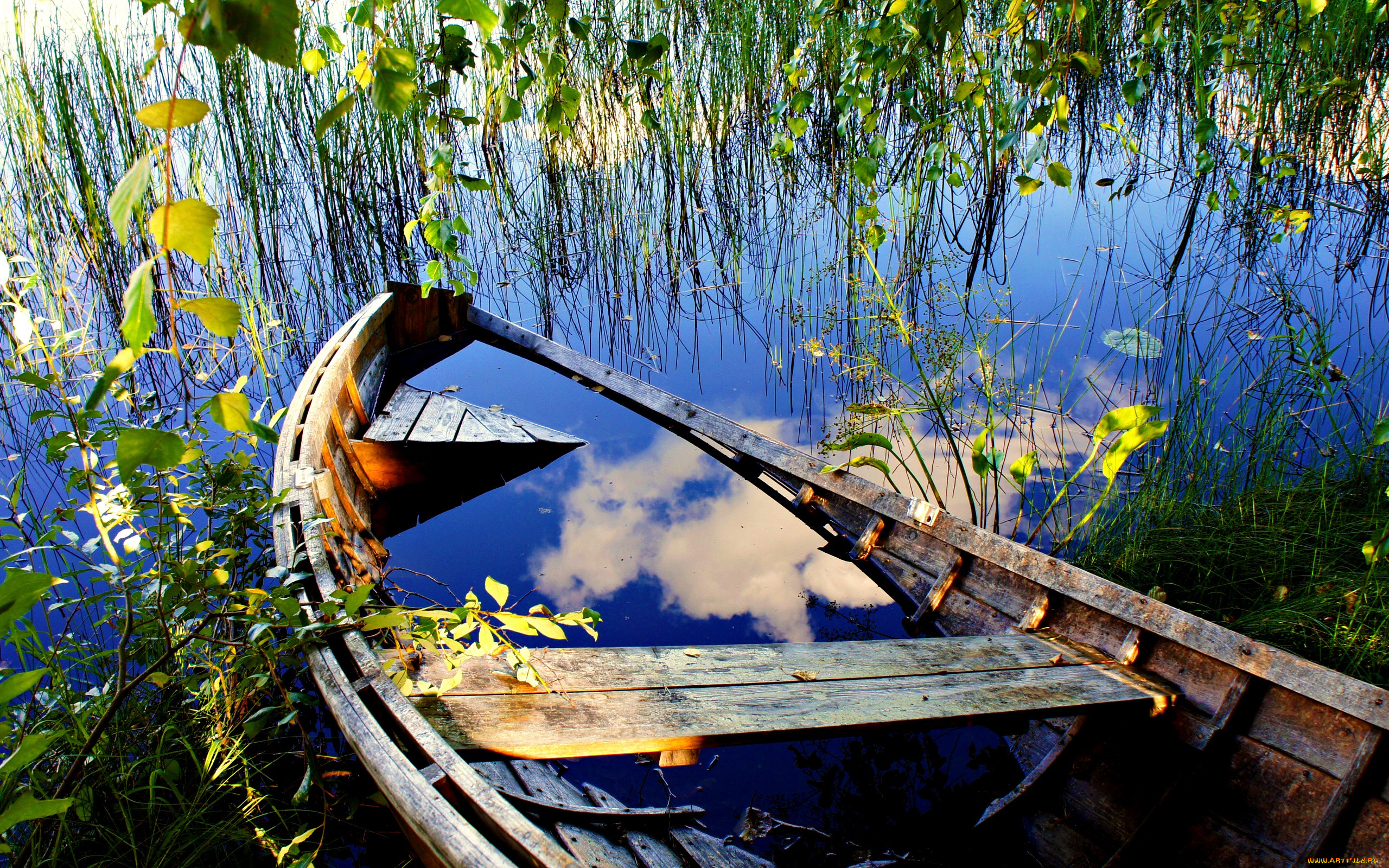 abandoned, boat, корабли, лодки, шлюпки, лодка, трава, берег, озеро