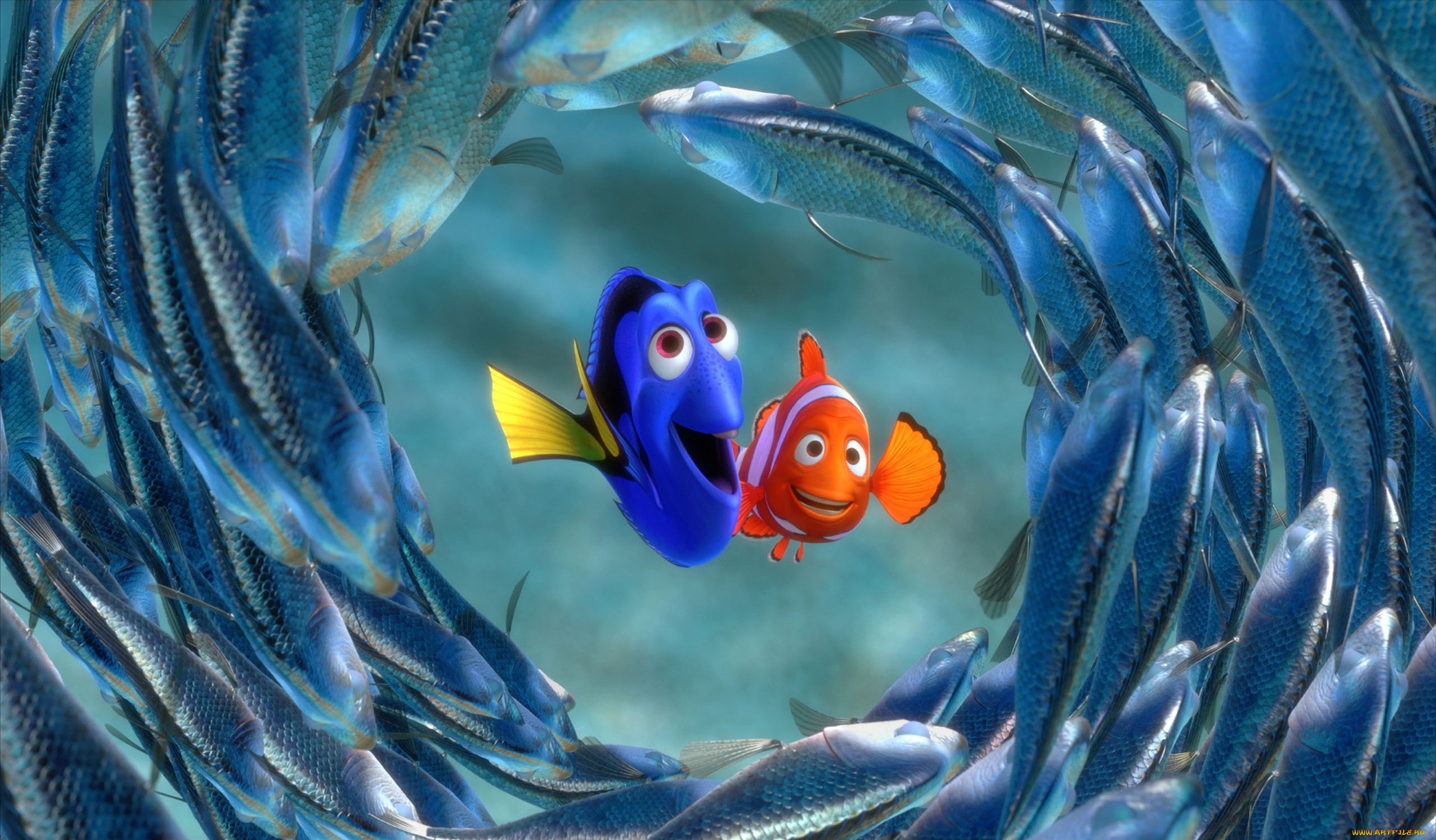 finding, nemo, мультфильмы, в, поисках, немо