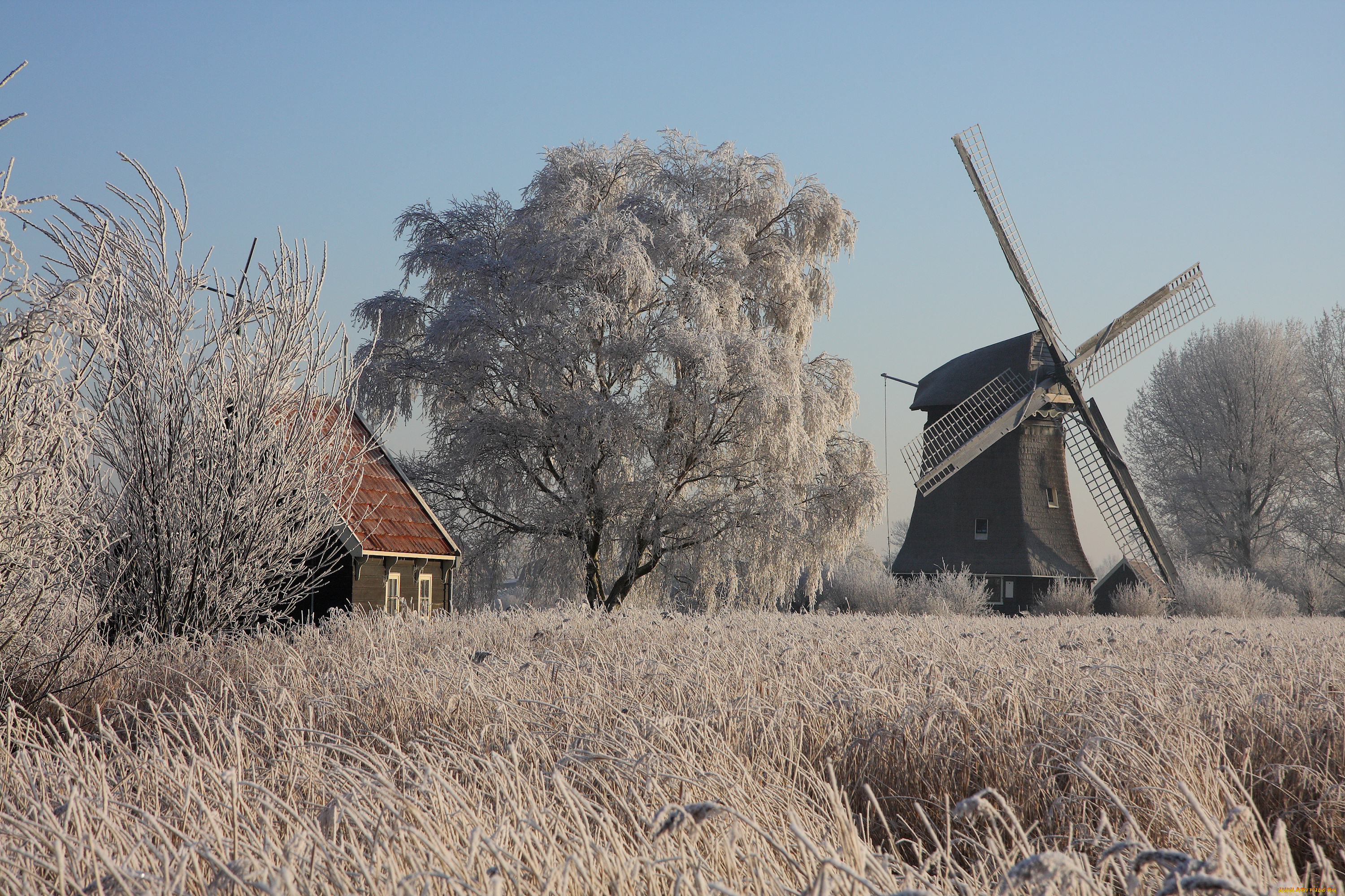 разное, мельницы, grass, windmill, house, ice, trees, winter