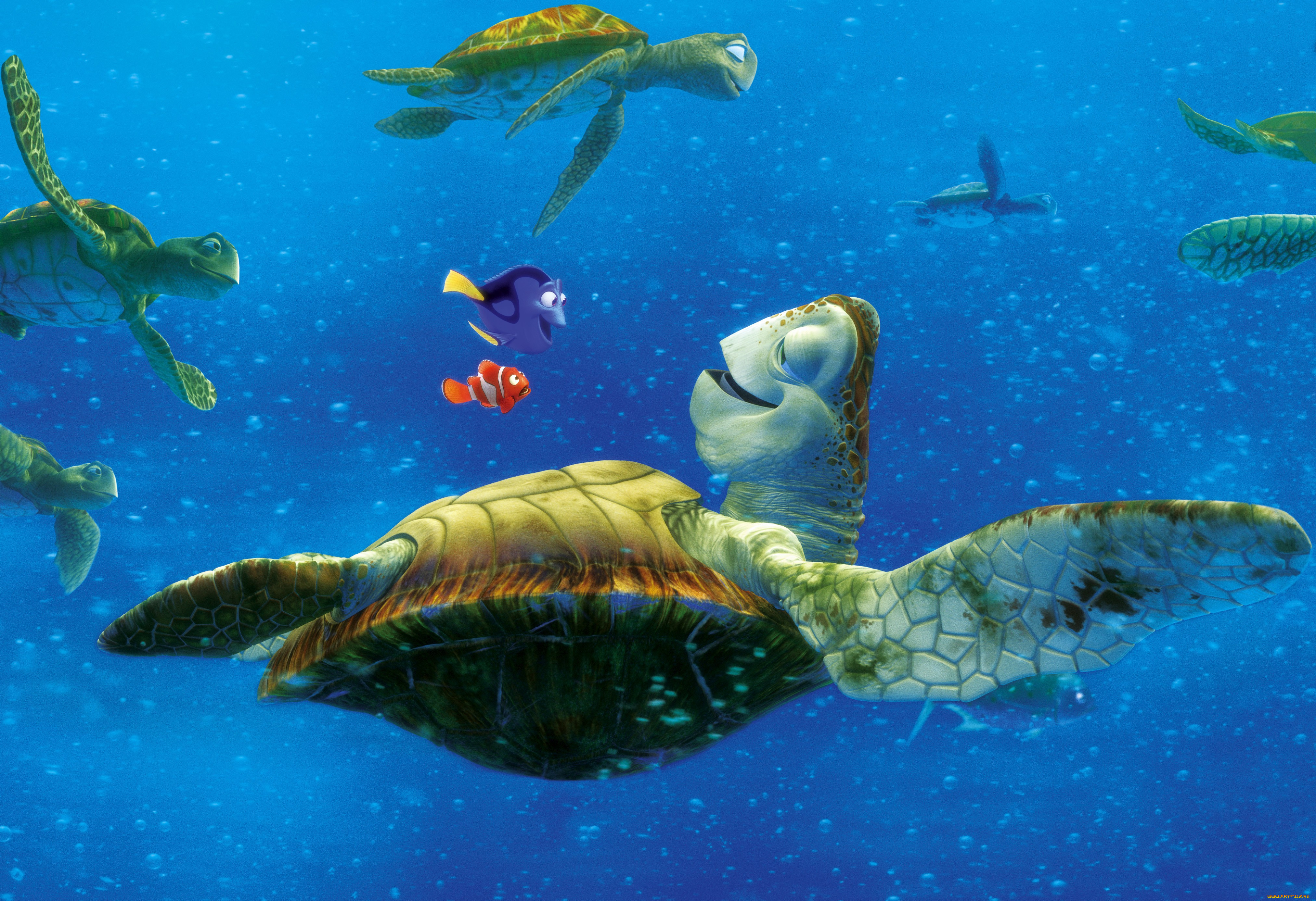 finding, nemo, мультфильмы, в, поисках, немо