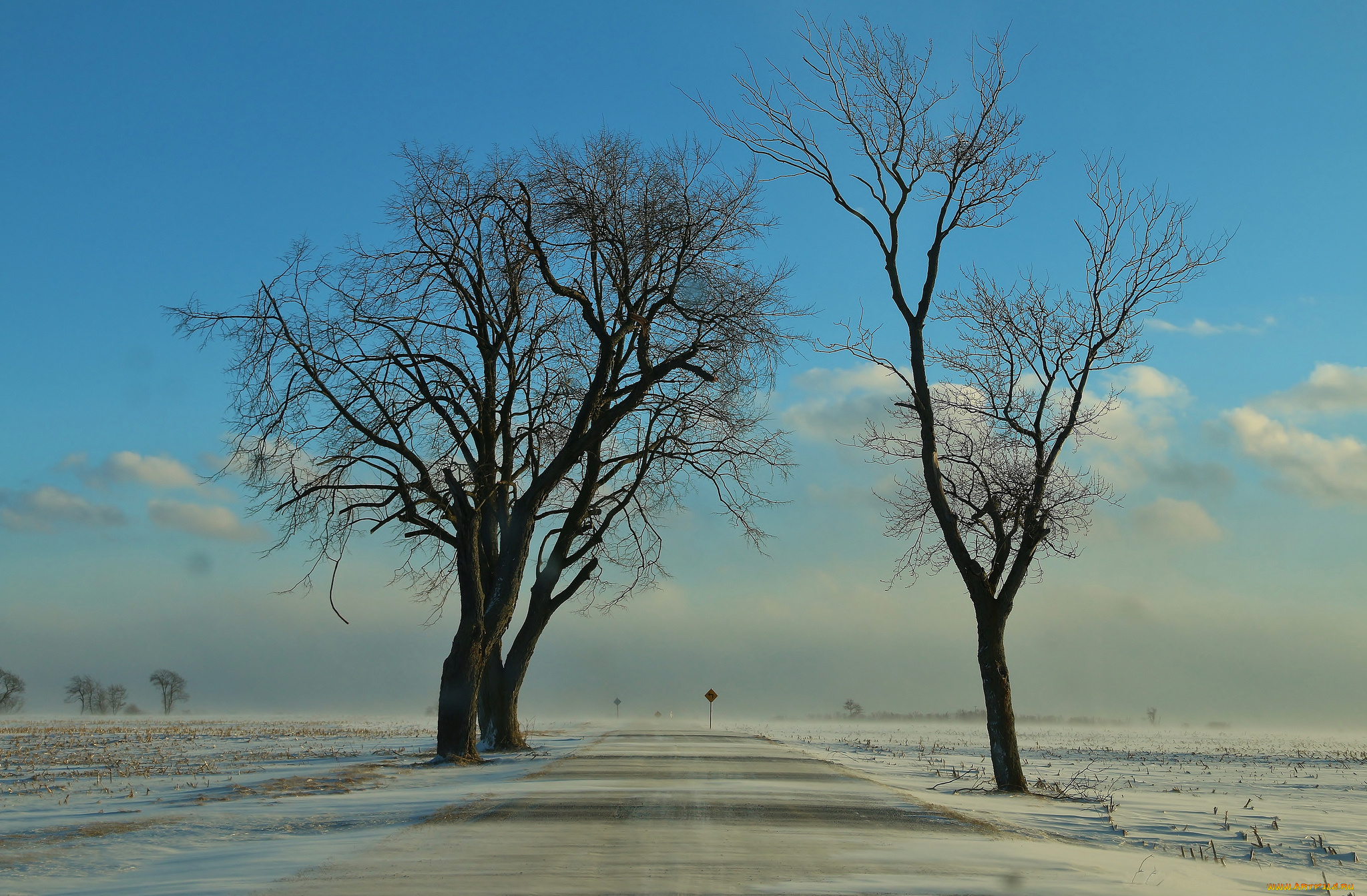 природа, дороги, зима, поземка, дорога, поле, деревья, снег