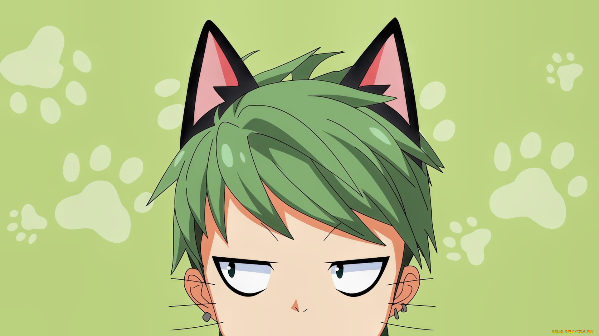 аниме, nora, to, oujo, to, noraneko, boy, anime, cat, nora, to, oujo, noraneko, by, sanoboss, face, nelo, japanese, green, manga, head