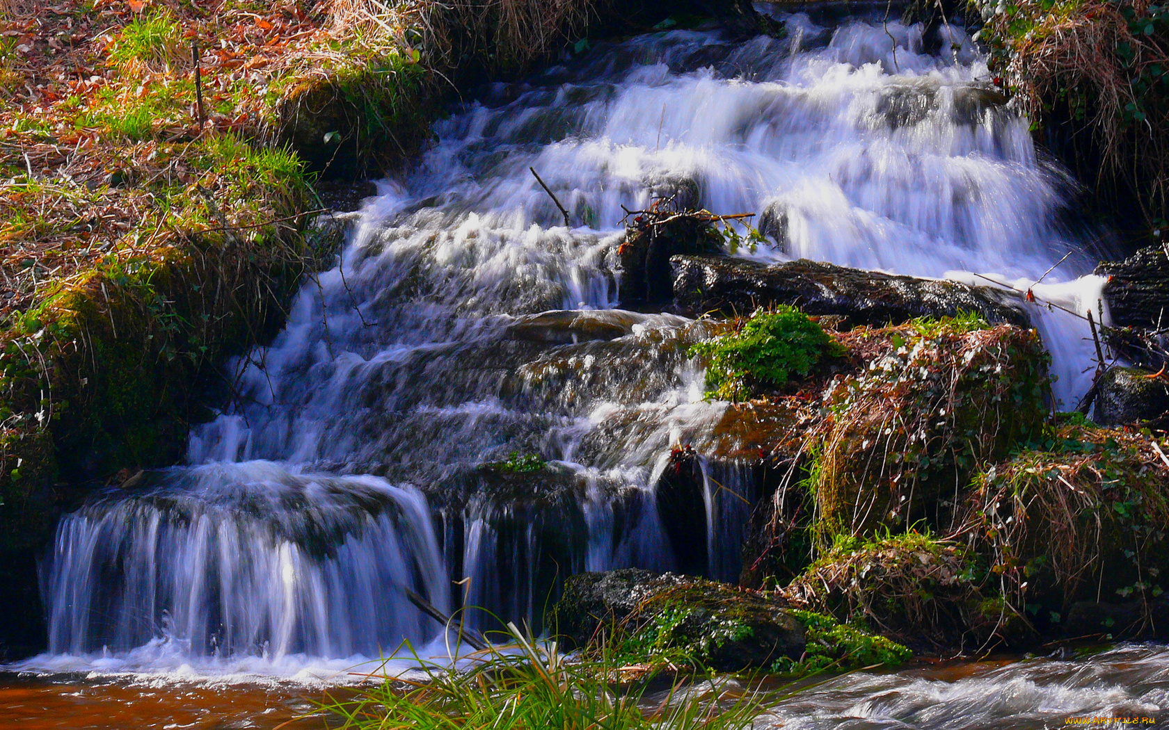 природа, реки, озера, трава, вода, камни