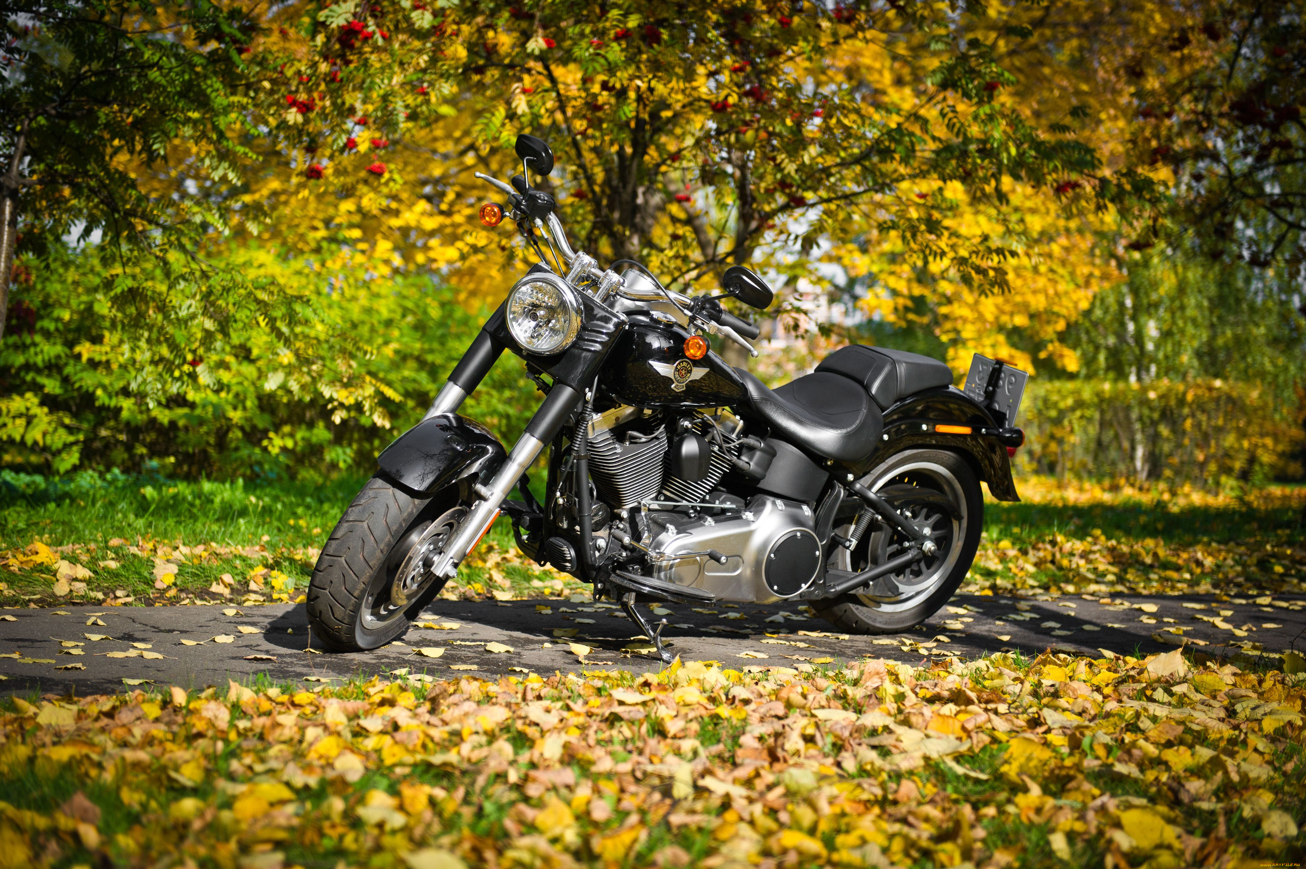 мотоцикл осень дорожка бесплатно