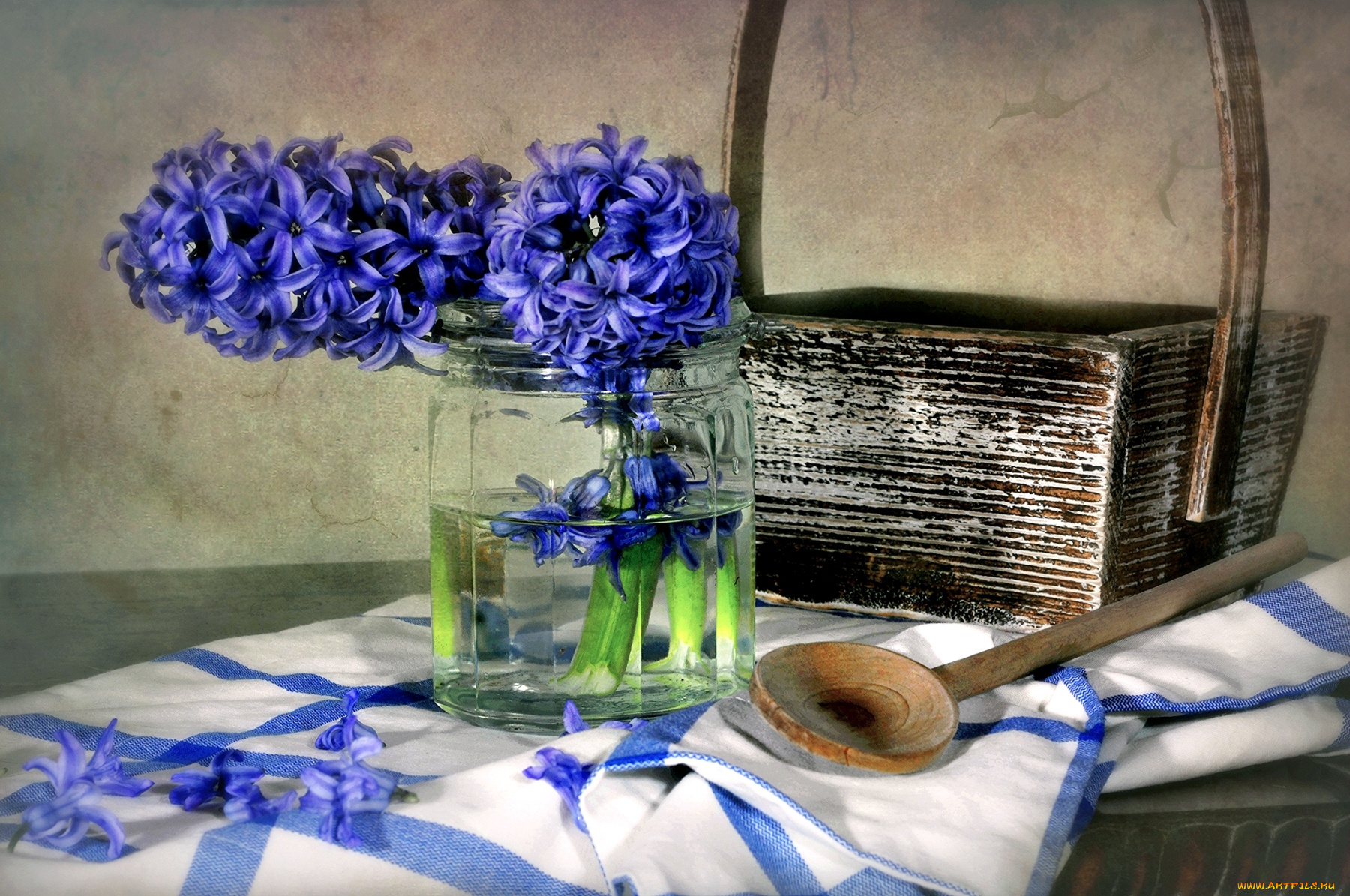 цветы, гиацинты, синий, корзина