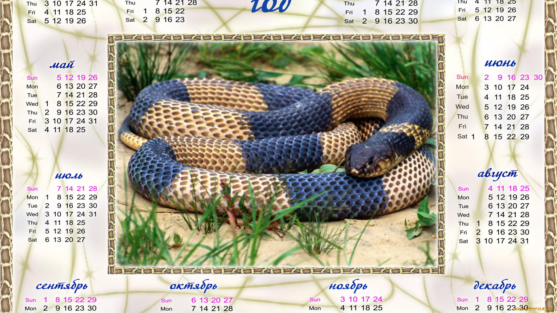 календари, животные, змея