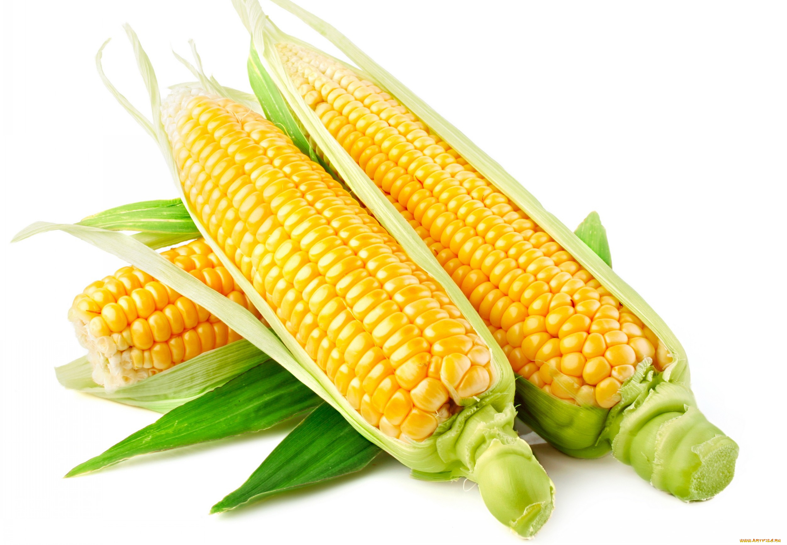 еда, кукуруза, листья, зерна, початки