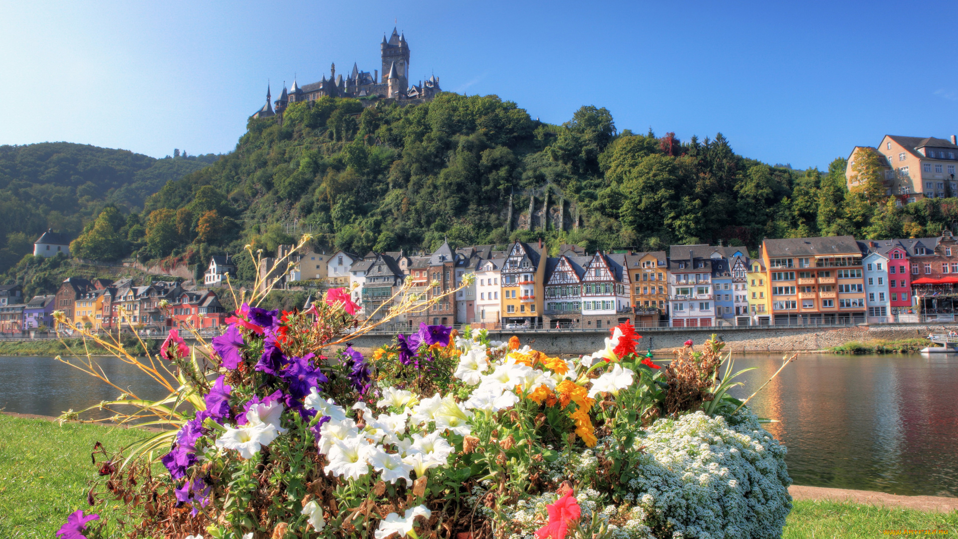 города, -, пейзажи, цветы, река, замок, дома, cochem, кохем