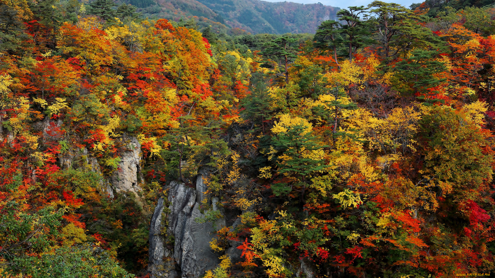природа, лес, осень, деревья, скалы