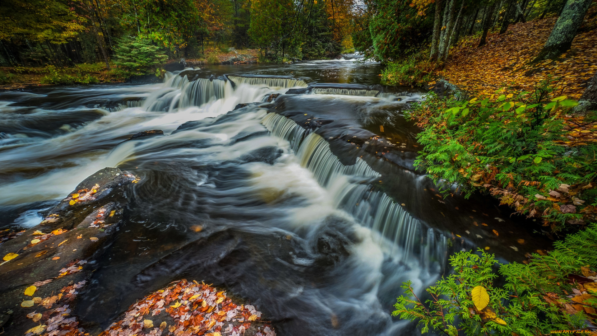 природа, водопады, лес, водопад, река