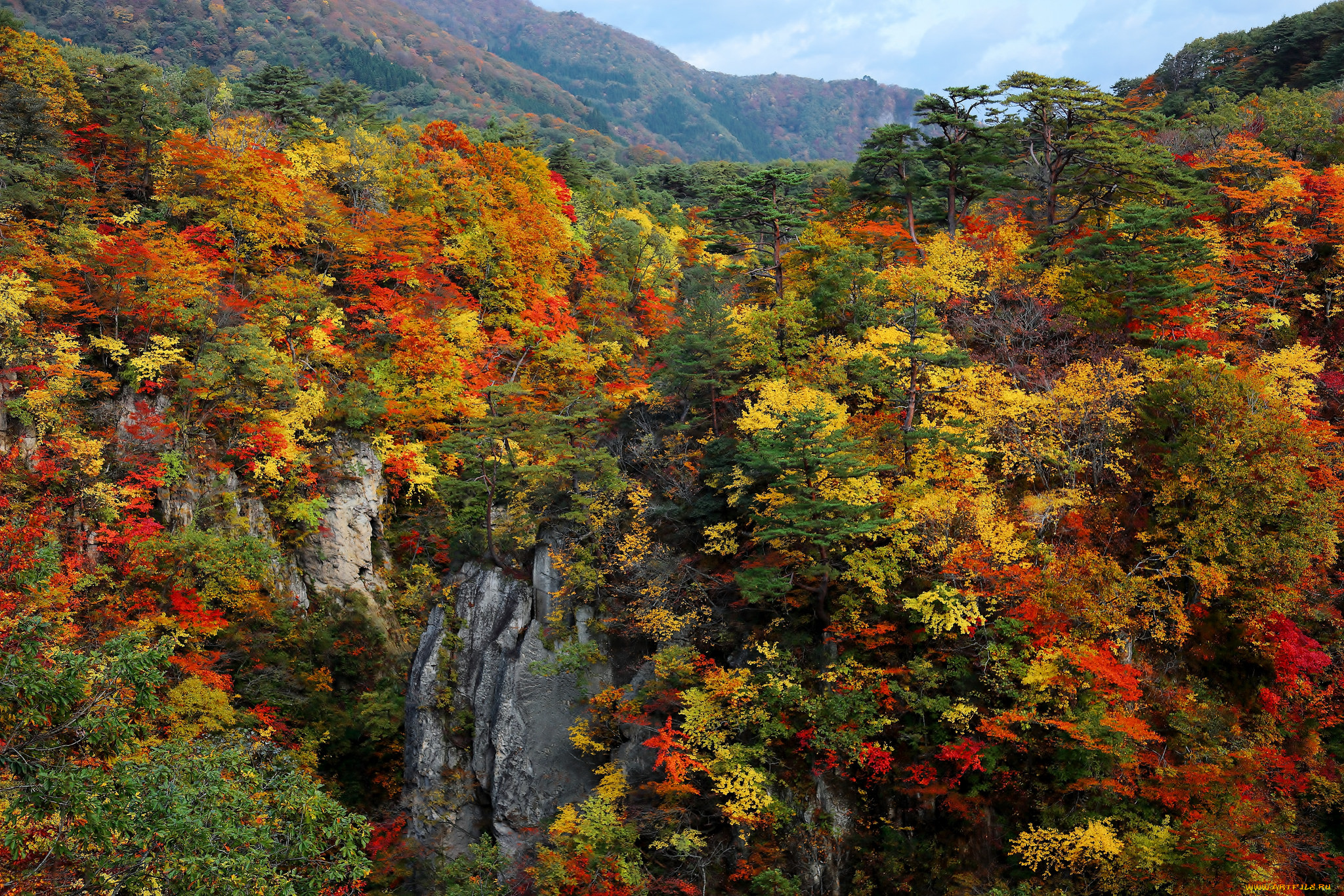 природа, лес, осень, деревья, скалы