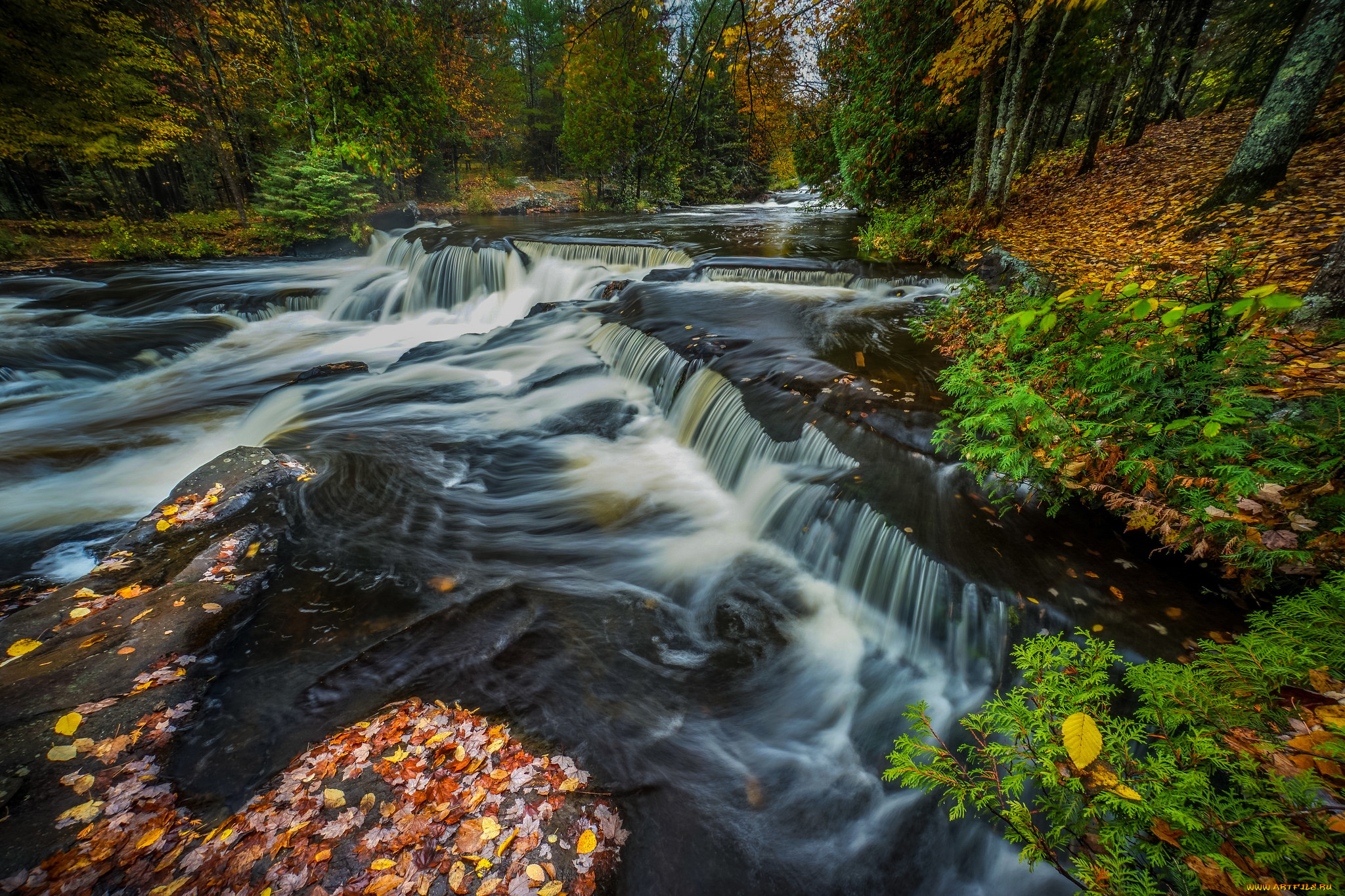 природа, водопады, лес, водопад, река